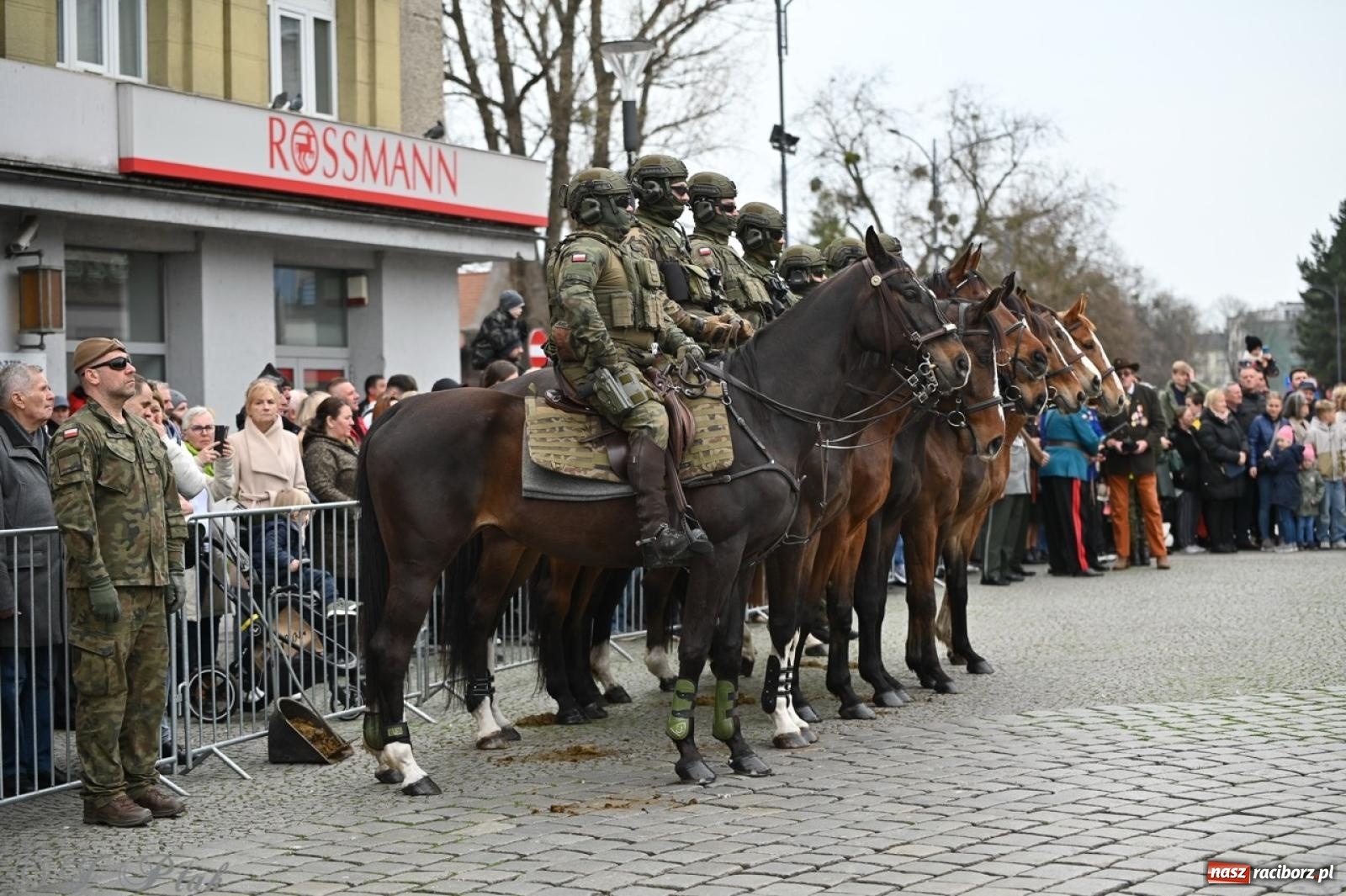 Zdjęcie w galerii na portalu naszraciborz.pl: MON odmówił utworzenia batalionu WOT w Raciborzu. Będzie kolejny wniosek z ratusza wiadomości z regionu