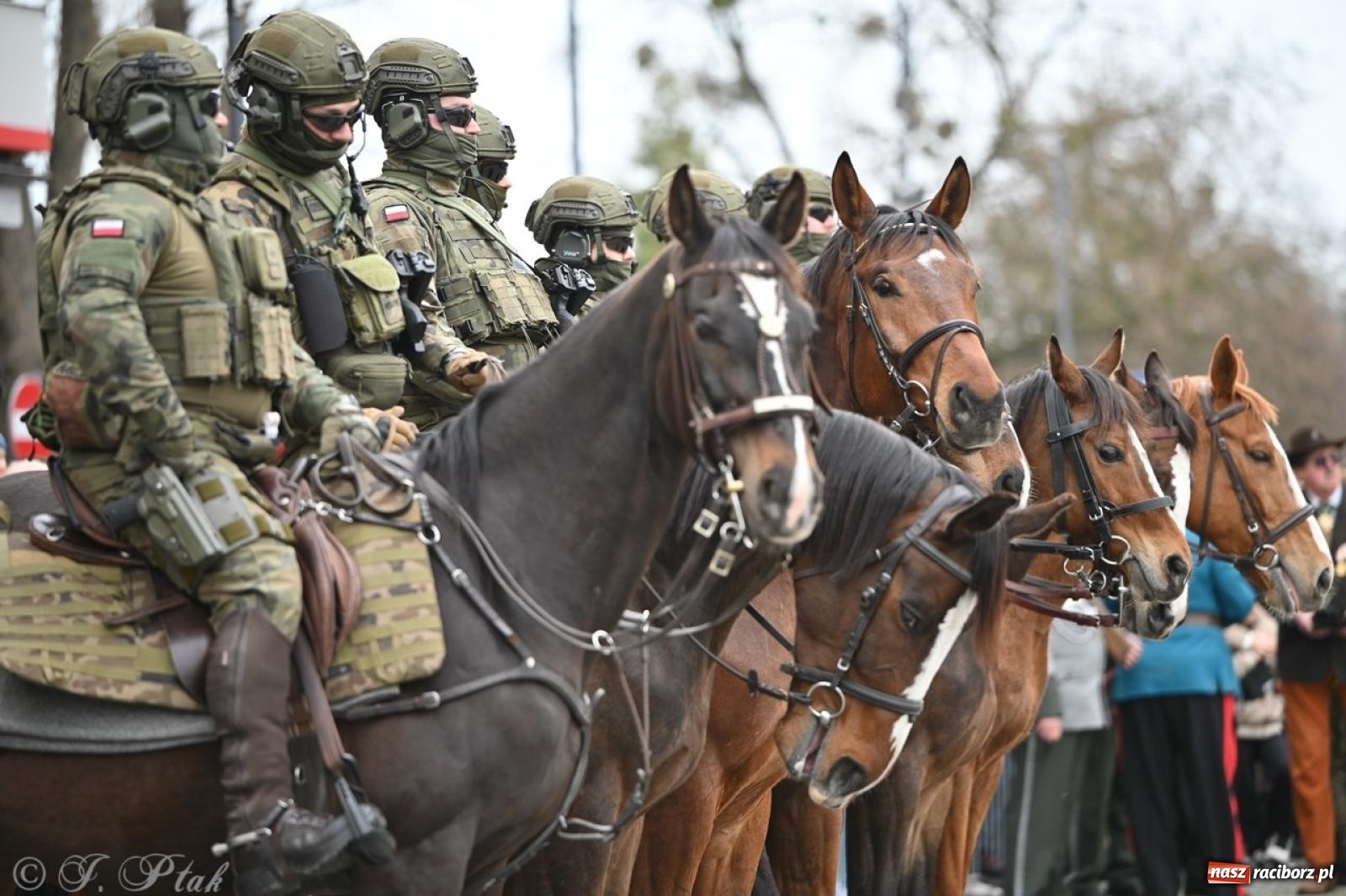 Zdjęcie w galerii na portalu naszraciborz.pl: MON odmówił utworzenia batalionu WOT w Raciborzu. Będzie kolejny wniosek z ratusza wiadomości z regionu
