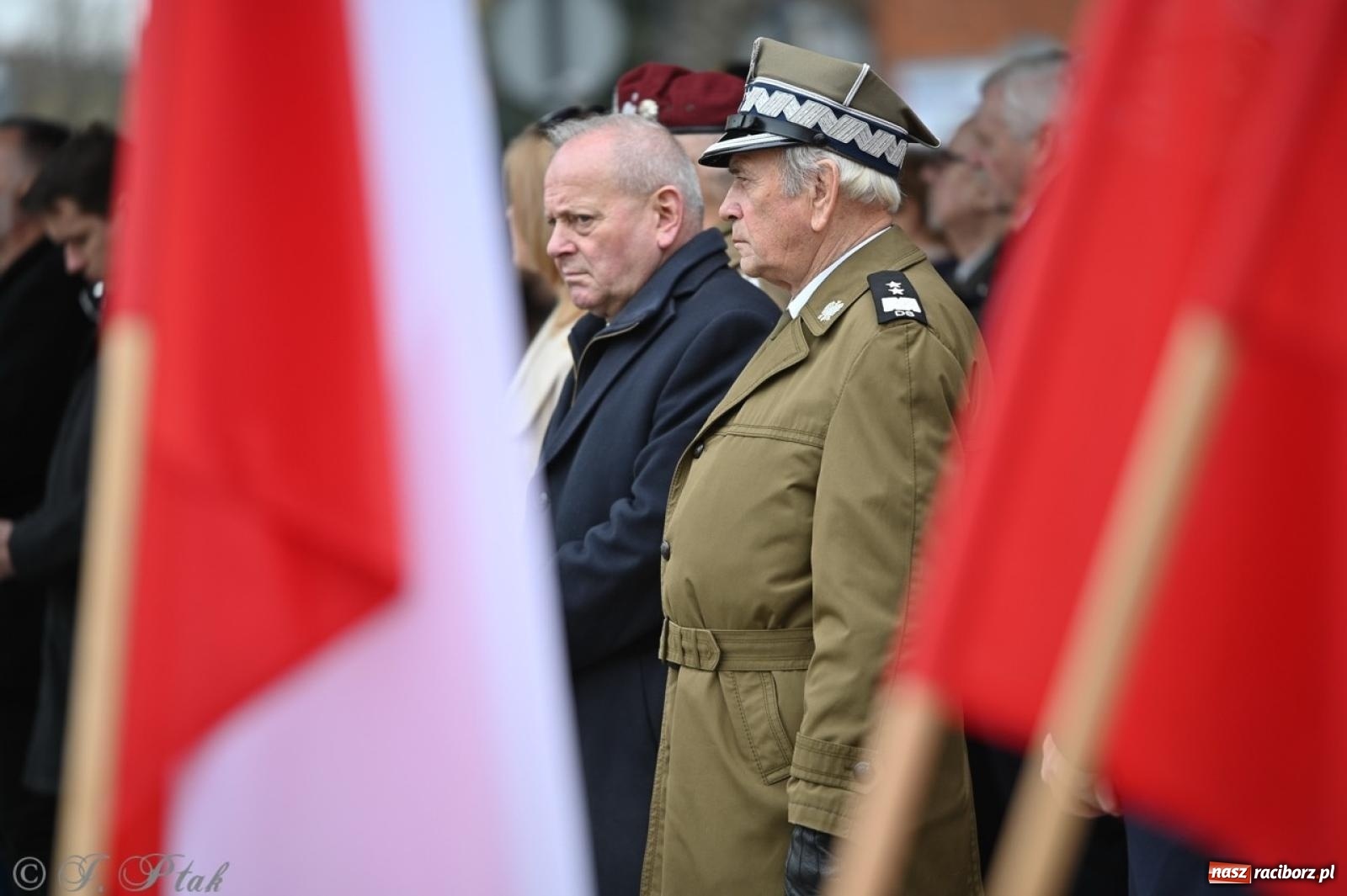 Zdjęcie w galerii na portalu naszraciborz.pl: MON odmówił utworzenia batalionu WOT w Raciborzu. Będzie kolejny wniosek z ratusza wiadomości z regionu
