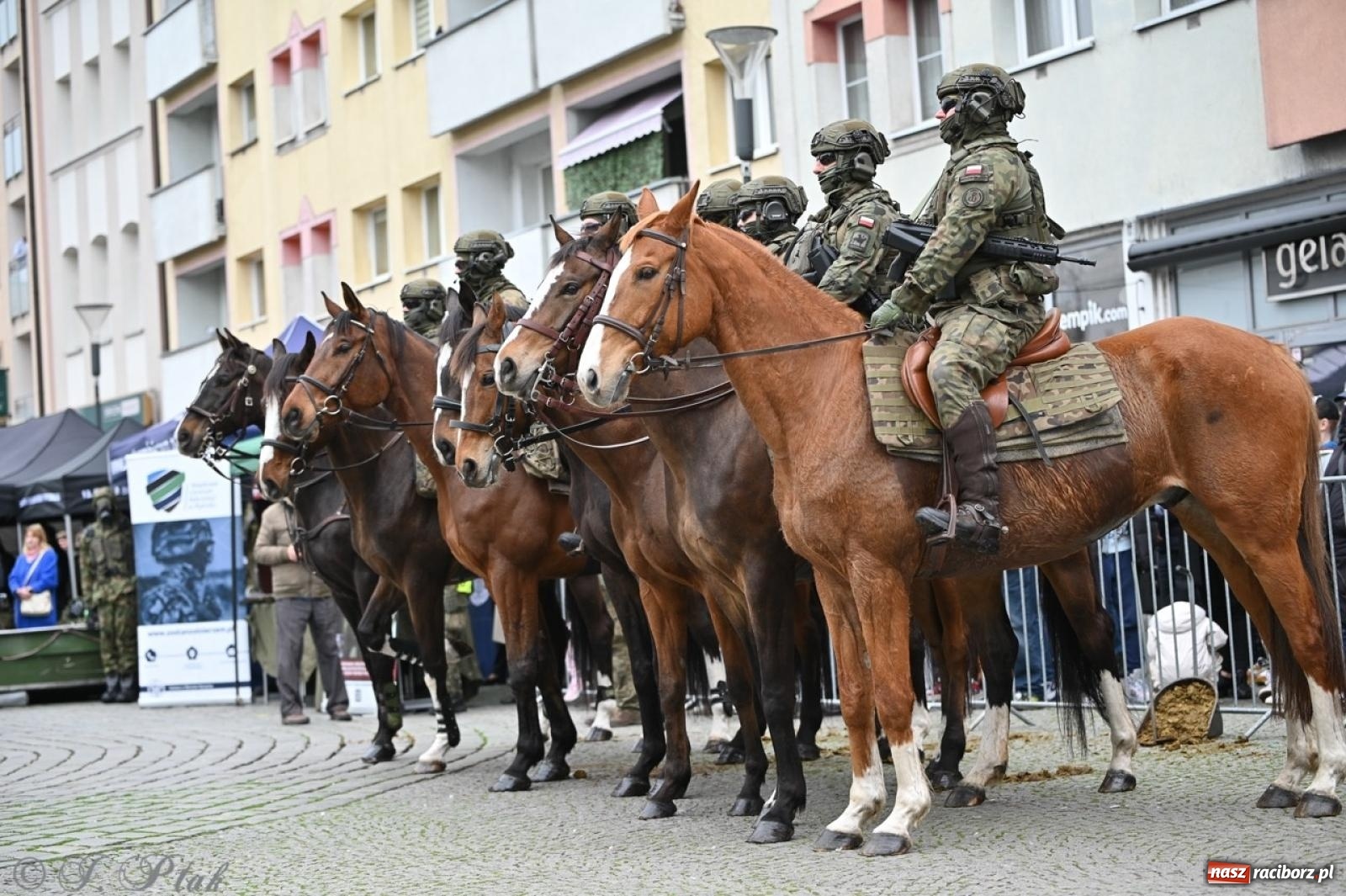 Zdjęcie w galerii na portalu naszraciborz.pl: MON odmówił utworzenia batalionu WOT w Raciborzu. Będzie kolejny wniosek z ratusza wiadomości z regionu