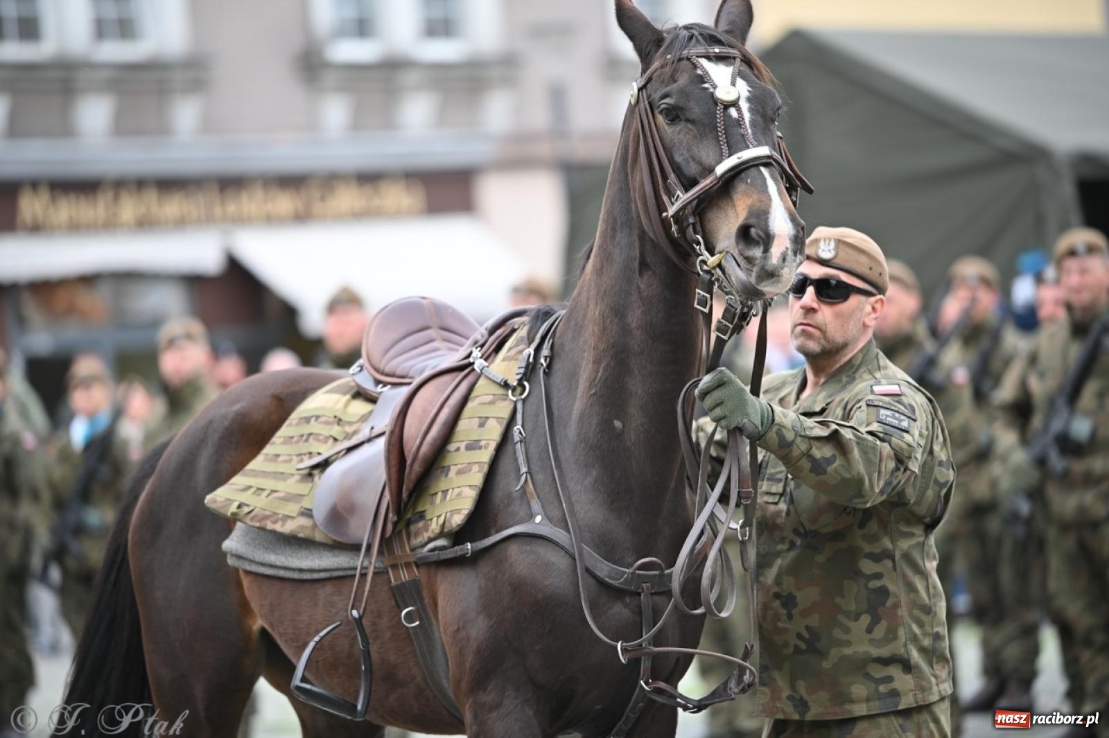 Zdjęcie w galerii na portalu naszraciborz.pl: MON odmówił utworzenia batalionu WOT w Raciborzu. Będzie kolejny wniosek z ratusza wiadomości z regionu