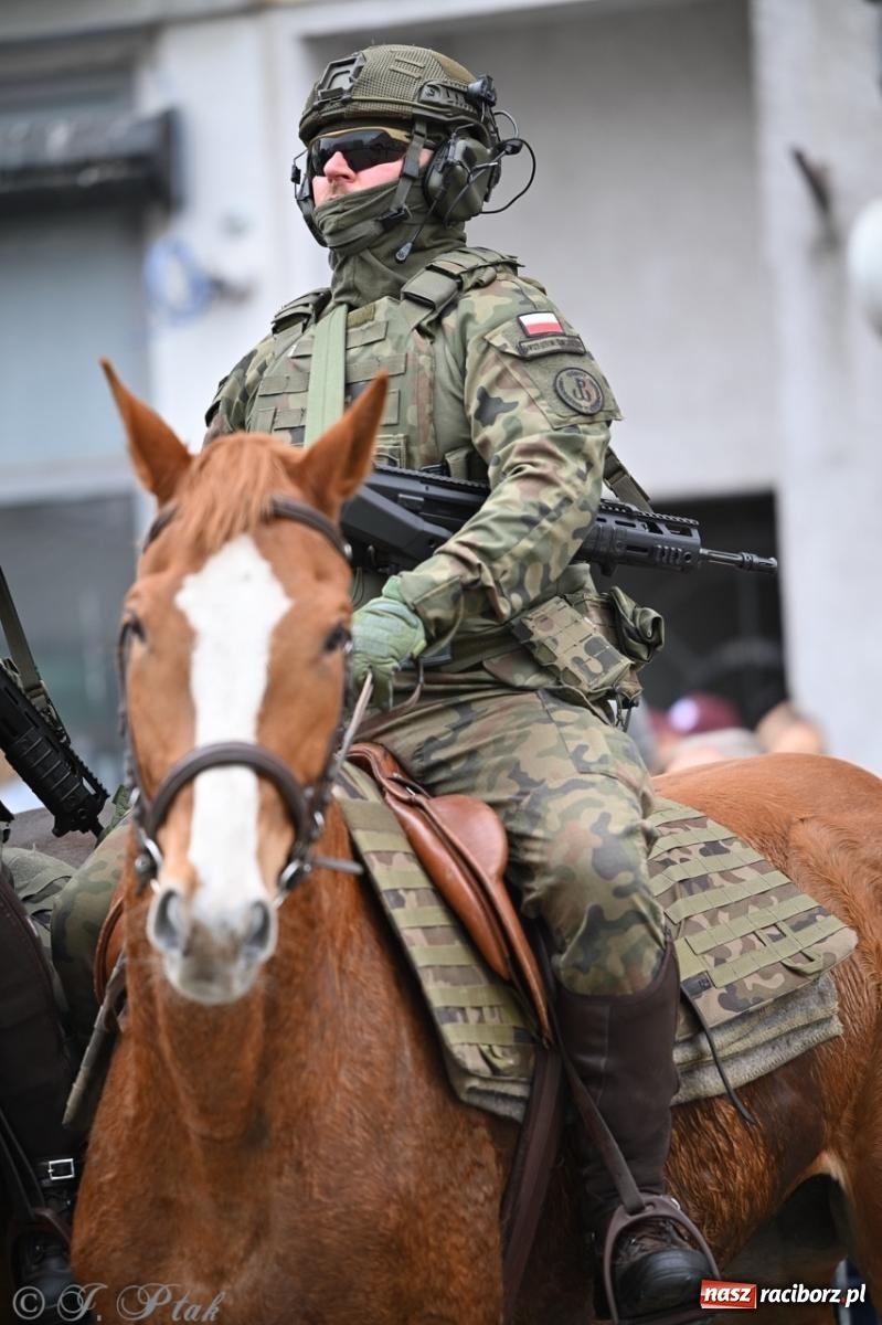 Zdjęcie w galerii na portalu naszraciborz.pl: MON odmówił utworzenia batalionu WOT w Raciborzu. Będzie kolejny wniosek z ratusza wiadomości z regionu