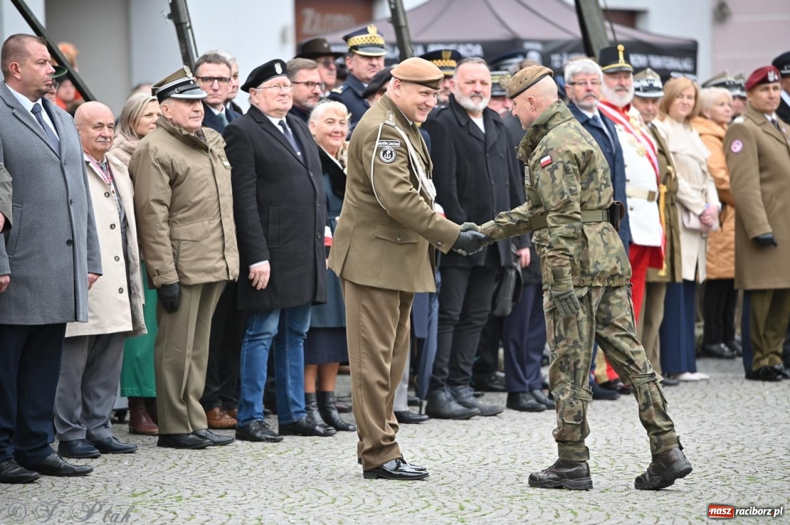 Zdjęcie w galerii na portalu naszraciborz.pl: MON odmówił utworzenia batalionu WOT w Raciborzu. Będzie kolejny wniosek z ratusza wiadomości z regionu