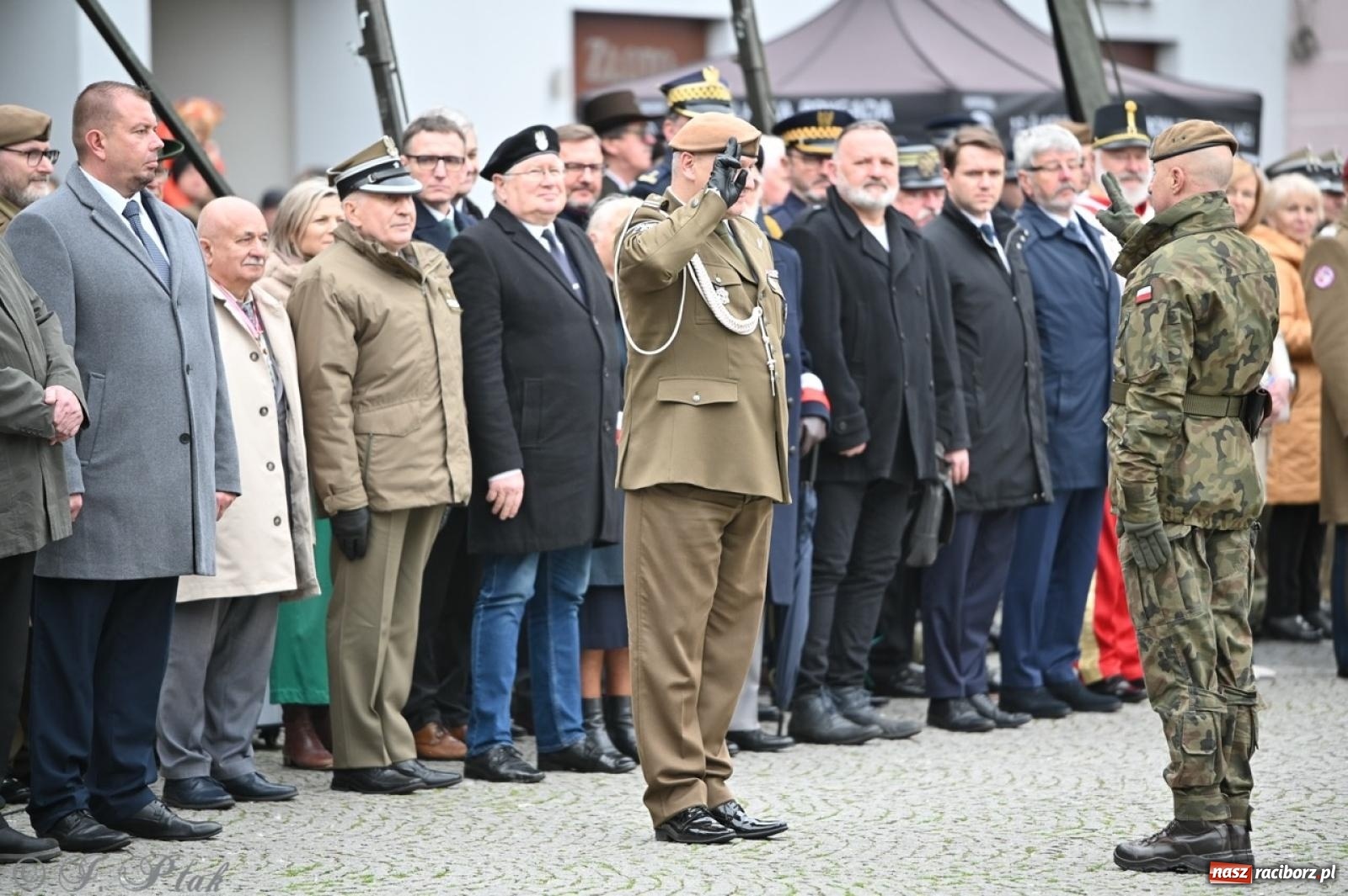 Zdjęcie w galerii na portalu naszraciborz.pl: MON odmówił utworzenia batalionu WOT w Raciborzu. Będzie kolejny wniosek z ratusza wiadomości z regionu