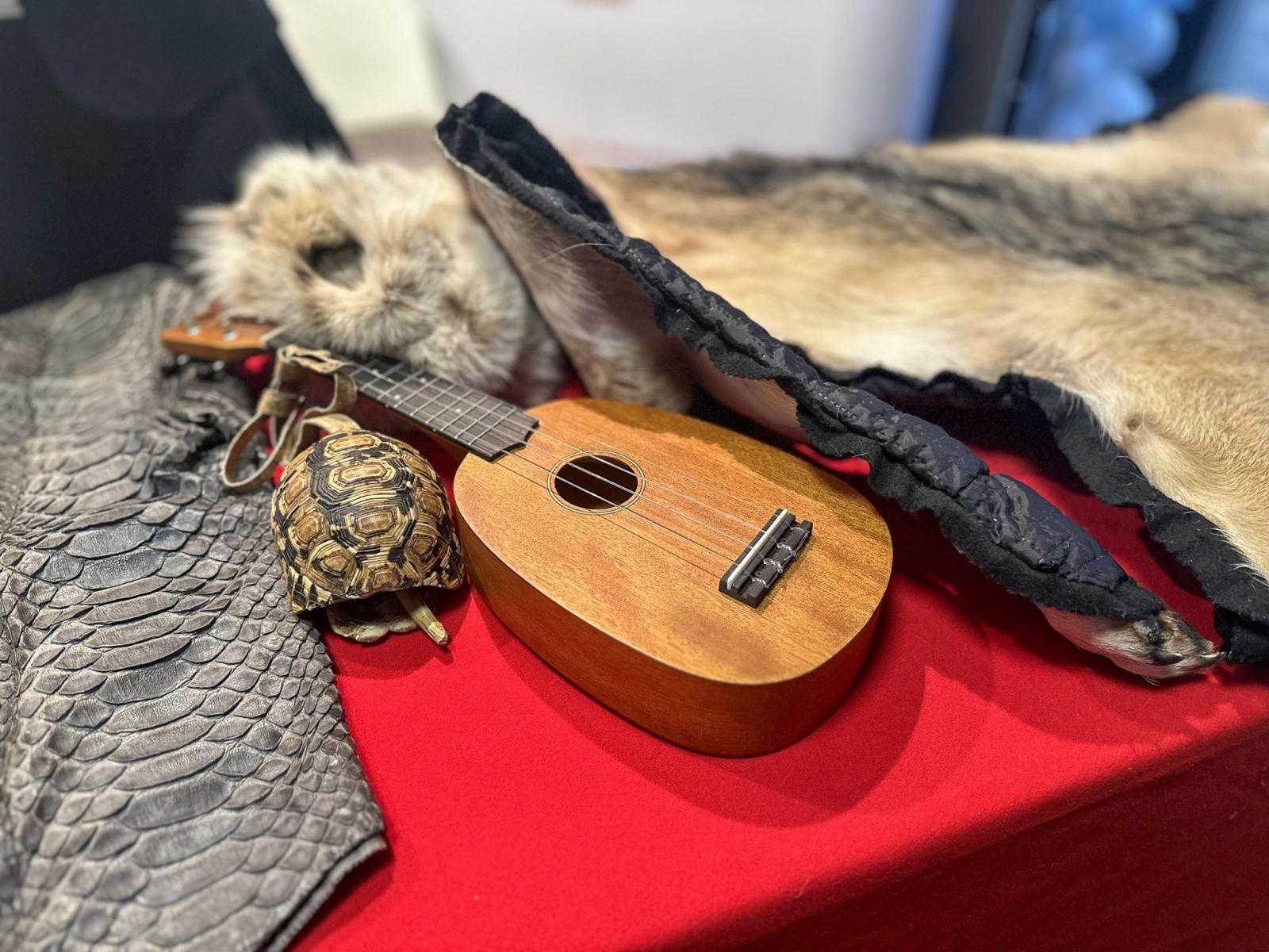 Zdjęcie w galerii na portalu naszraciborz.pl: Spotkanie z Krajową Administracją Skarbową w Akademii Nauk Stosowanych w Raciborzu wiadomości z regionu