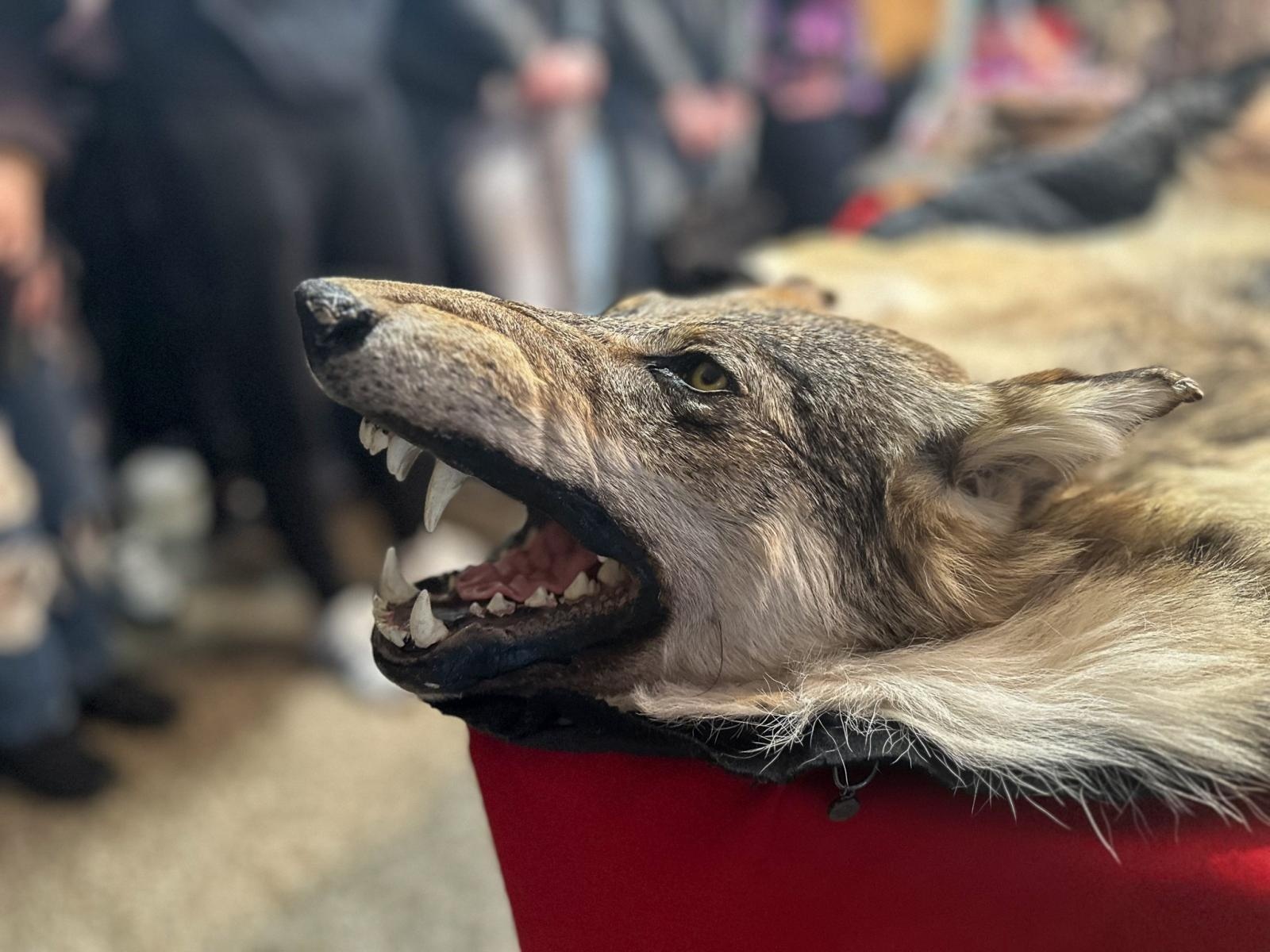 Zdjęcie w galerii na portalu naszraciborz.pl: Spotkanie z Krajową Administracją Skarbową w Akademii Nauk Stosowanych w Raciborzu wiadomości z regionu