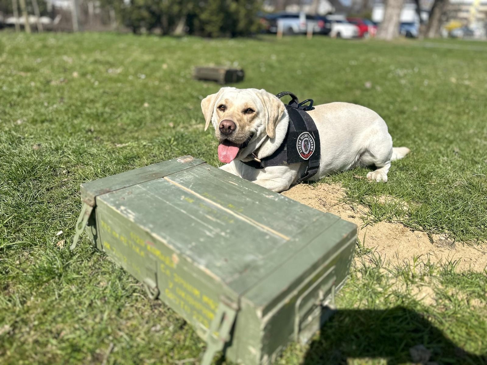 Zdjęcie w galerii na portalu naszraciborz.pl: Spotkanie z Krajową Administracją Skarbową w Akademii Nauk Stosowanych w Raciborzu wiadomości z regionu