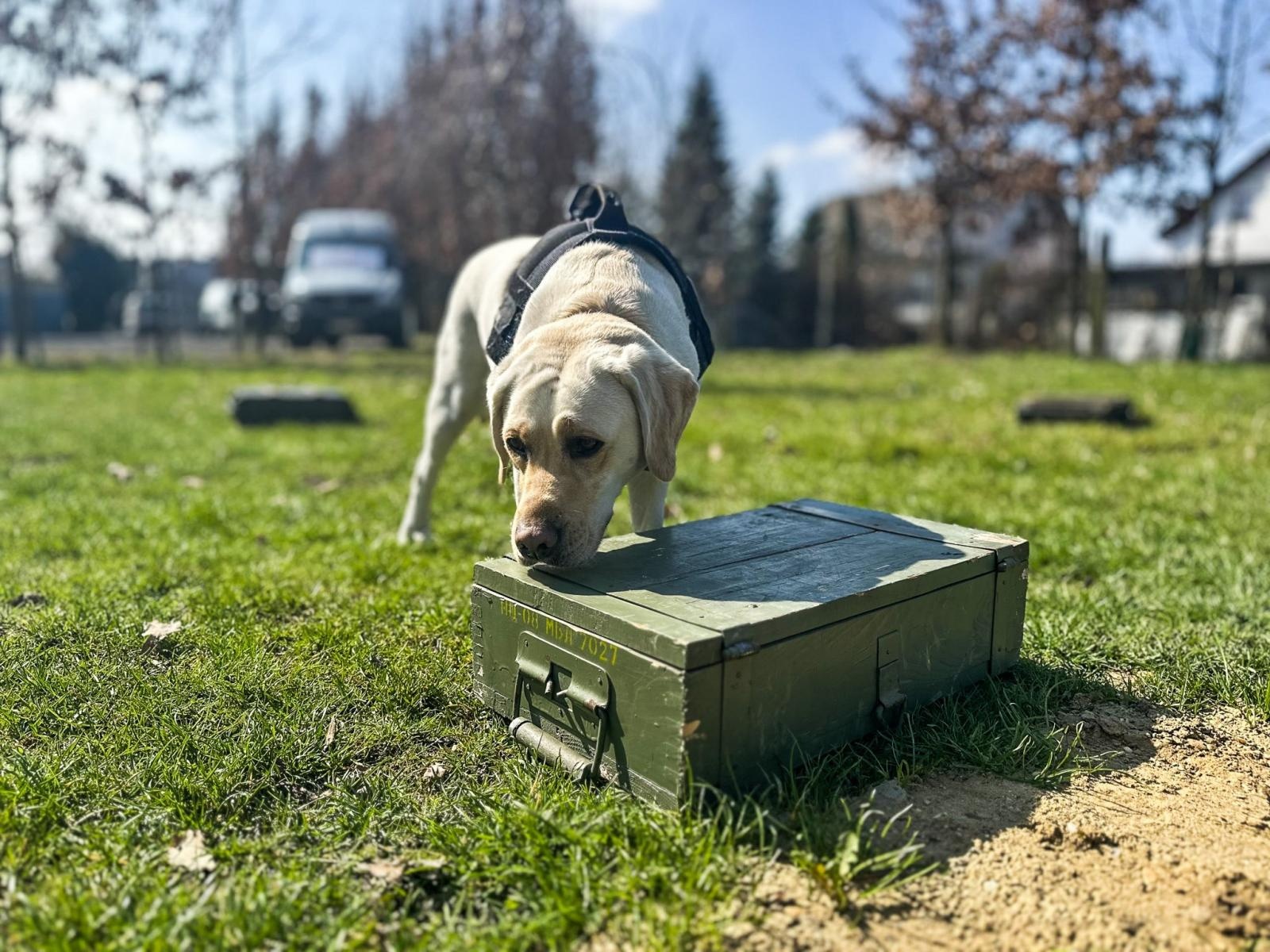 Zdjęcie w galerii na portalu naszraciborz.pl: Spotkanie z Krajową Administracją Skarbową w Akademii Nauk Stosowanych w Raciborzu wiadomości z regionu