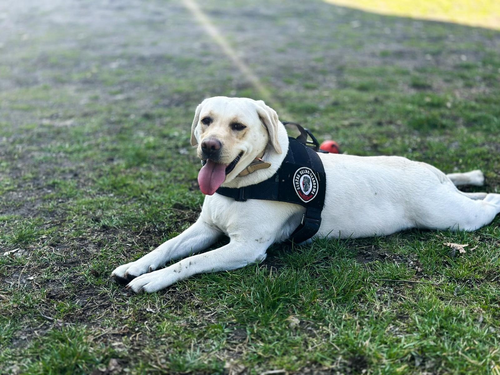Zdjęcie w galerii na portalu naszraciborz.pl: Spotkanie z Krajową Administracją Skarbową w Akademii Nauk Stosowanych w Raciborzu wiadomości z regionu