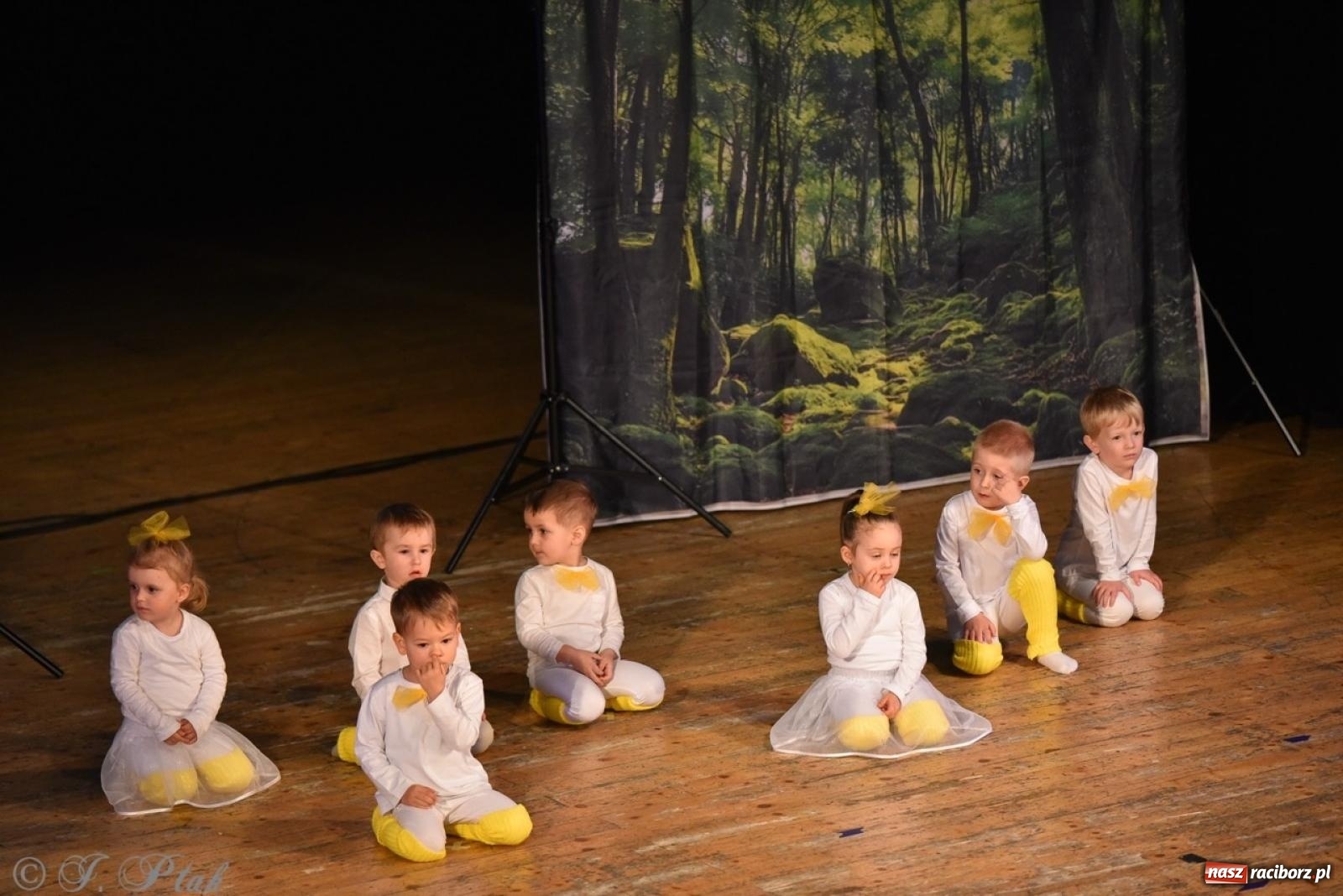 Zdjęcie w galerii na portalu naszraciborz.pl: 80 lat przedszkola w Brzeziu. Wzruszenia, wspomnienia i artystyczne talenty na scenie RCK [FOTO i WIDEO] wiadomości z regionu