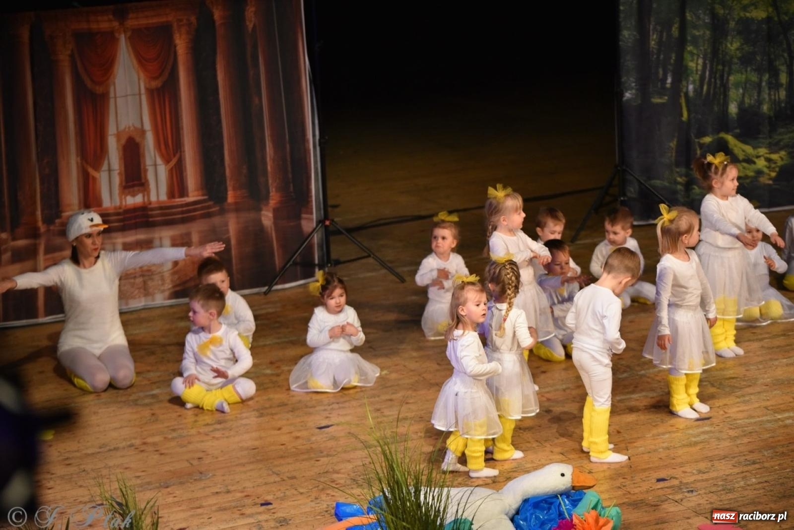 Zdjęcie w galerii na portalu naszraciborz.pl: 80 lat przedszkola w Brzeziu. Wzruszenia, wspomnienia i artystyczne talenty na scenie RCK [FOTO i WIDEO] wiadomości z regionu