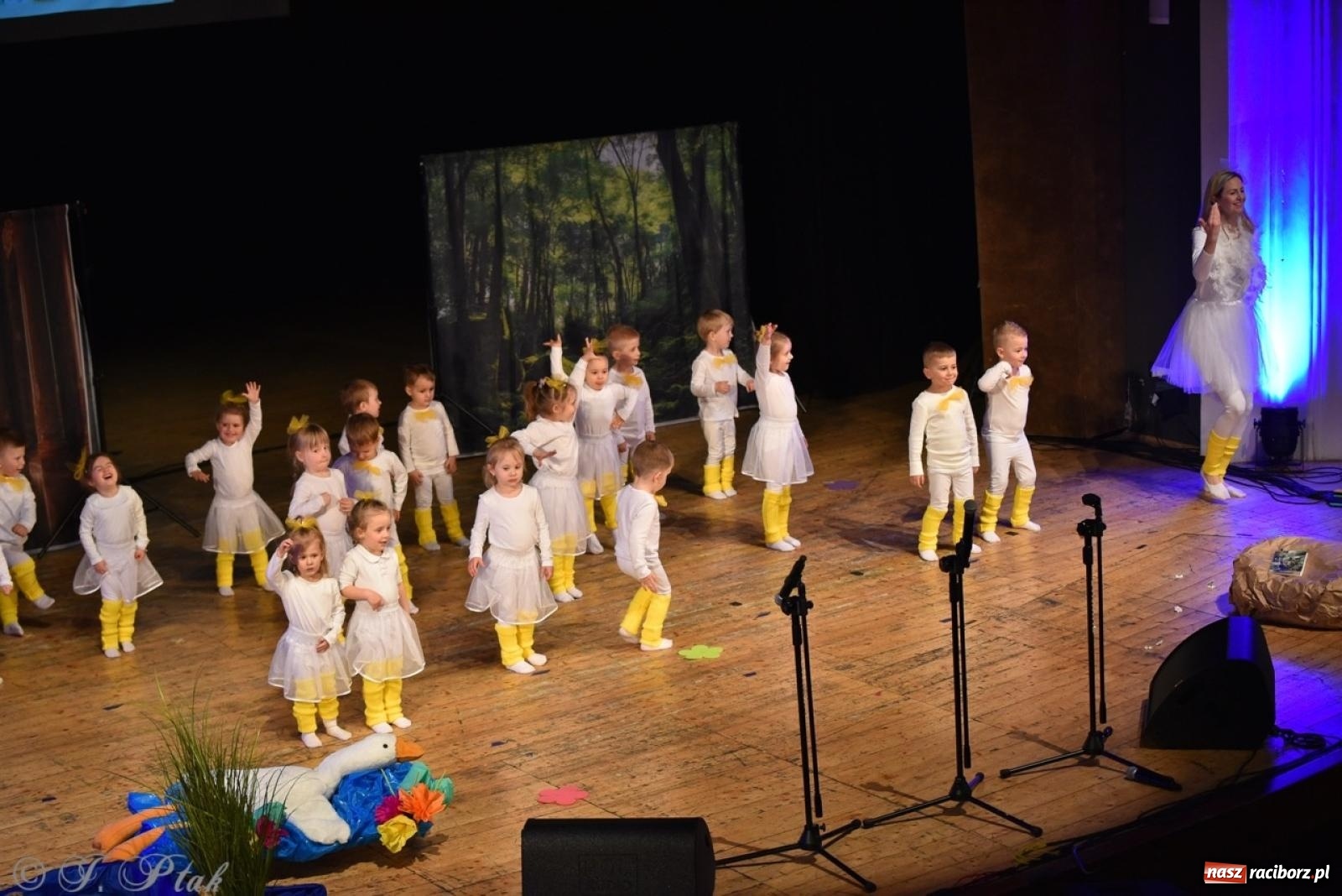 Zdjęcie w galerii na portalu naszraciborz.pl: 80 lat przedszkola w Brzeziu. Wzruszenia, wspomnienia i artystyczne talenty na scenie RCK [FOTO i WIDEO] wiadomości z regionu