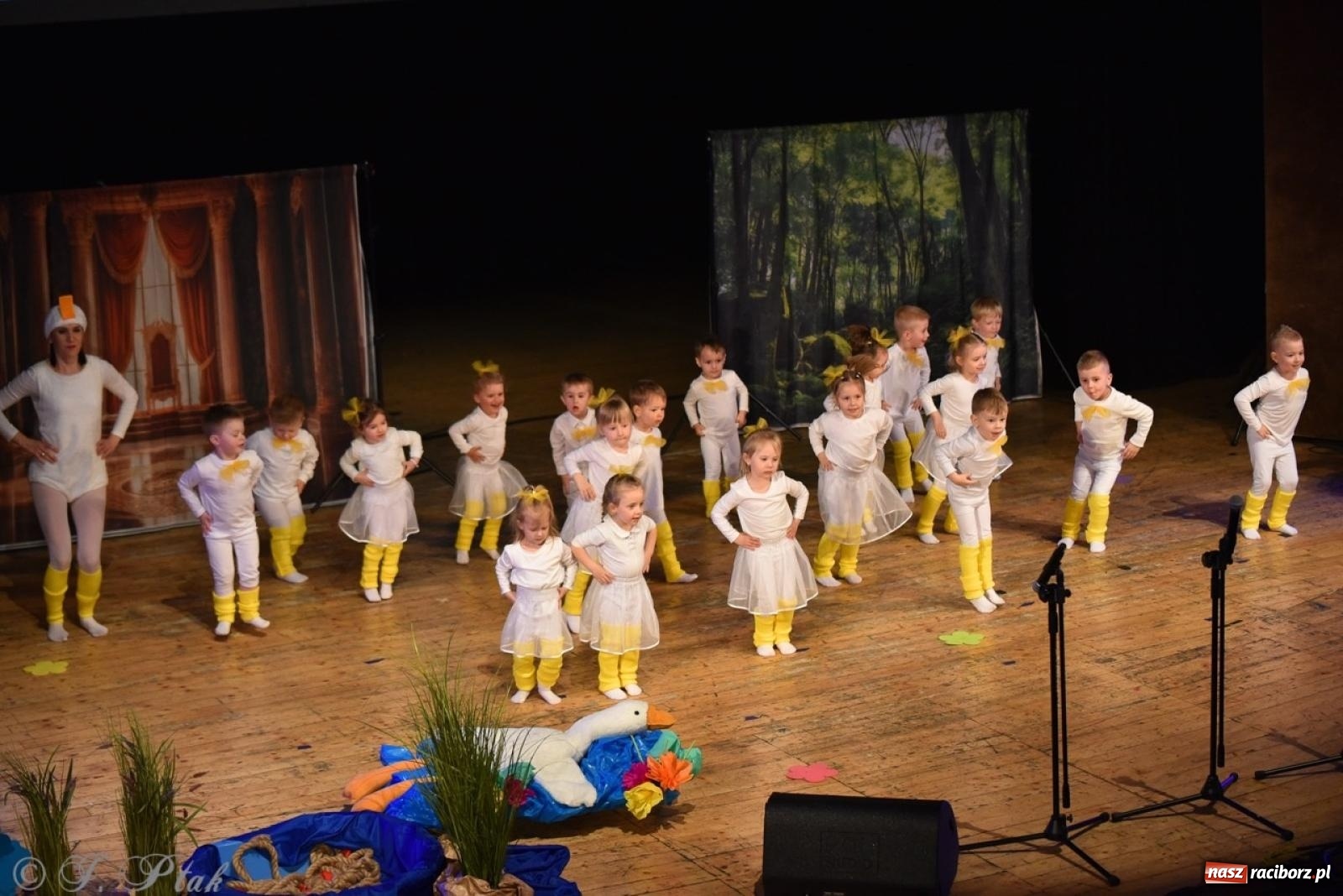 Zdjęcie w galerii na portalu naszraciborz.pl: 80 lat przedszkola w Brzeziu. Wzruszenia, wspomnienia i artystyczne talenty na scenie RCK [FOTO i WIDEO] wiadomości z regionu