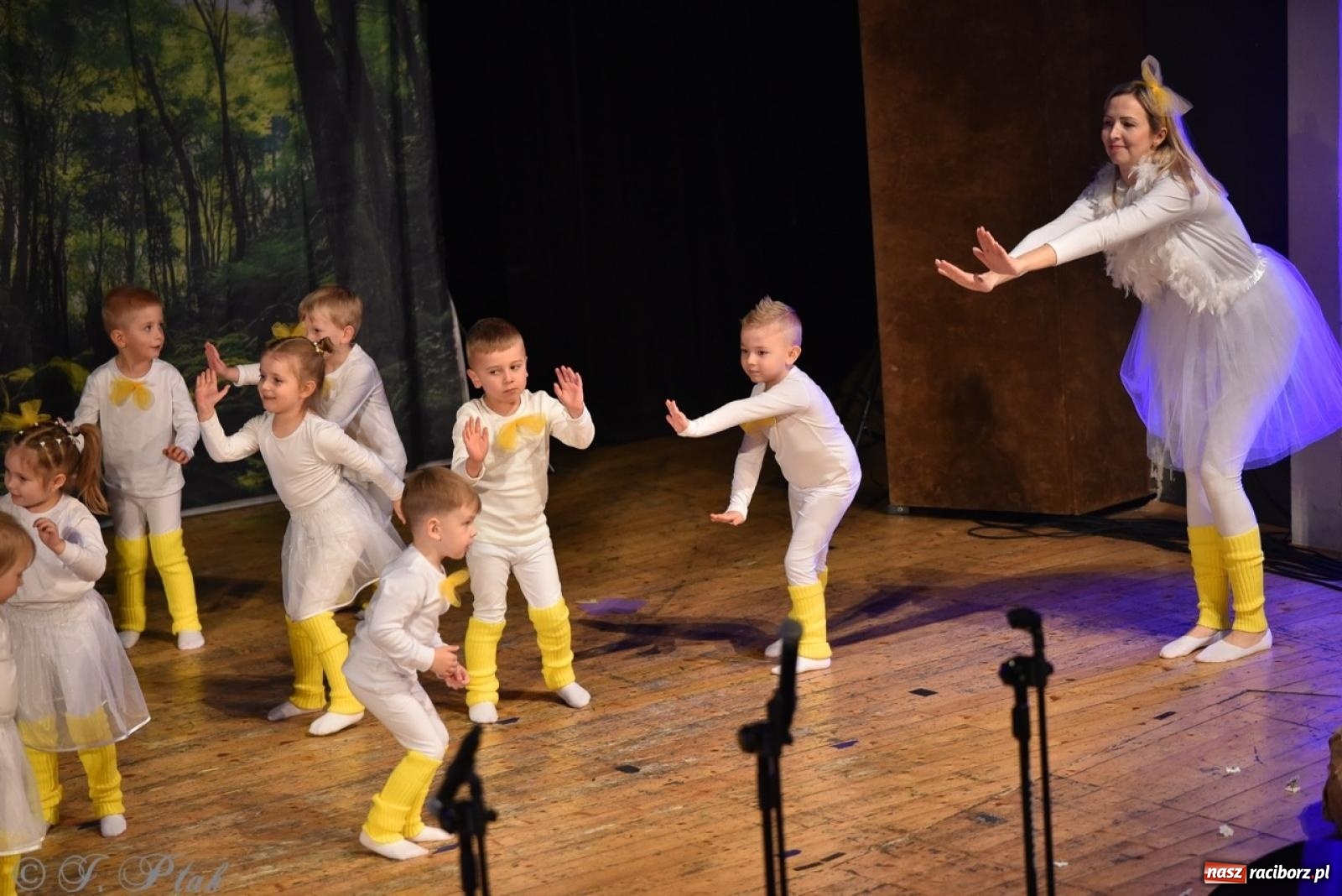 Zdjęcie w galerii na portalu naszraciborz.pl: 80 lat przedszkola w Brzeziu. Wzruszenia, wspomnienia i artystyczne talenty na scenie RCK [FOTO i WIDEO] wiadomości z regionu