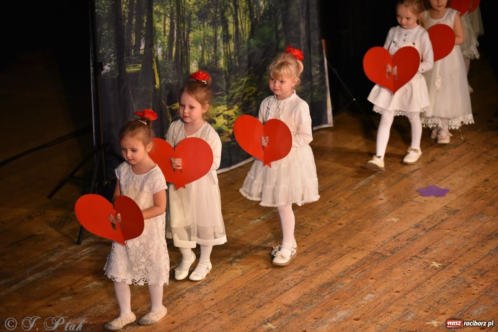 Zdjęcie w galerii na portalu naszraciborz.pl: 80 lat przedszkola w Brzeziu. Wzruszenia, wspomnienia i artystyczne talenty na scenie RCK [FOTO i WIDEO] wiadomości z regionu