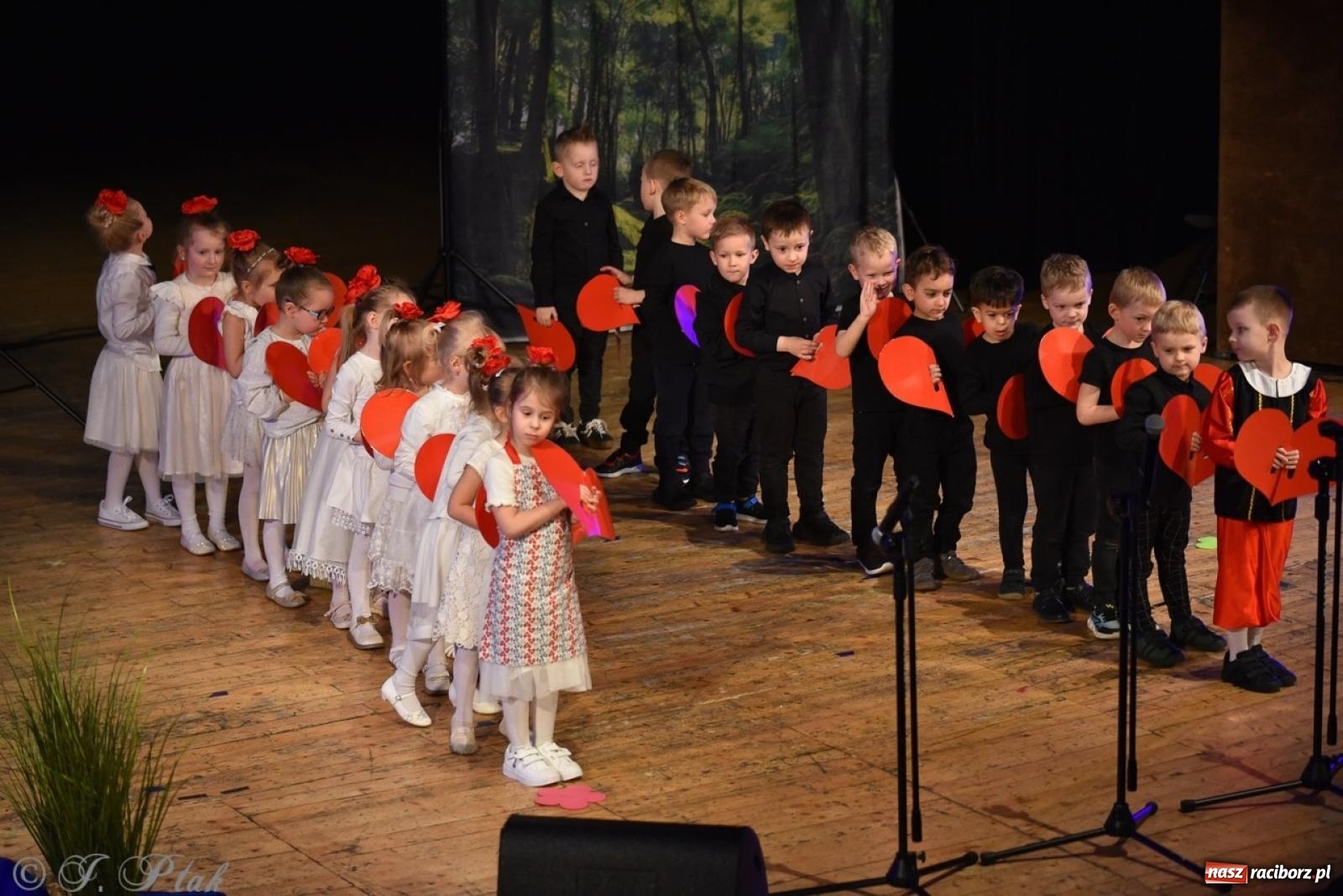Zdjęcie w galerii na portalu naszraciborz.pl: 80 lat przedszkola w Brzeziu. Wzruszenia, wspomnienia i artystyczne talenty na scenie RCK [FOTO i WIDEO] wiadomości z regionu