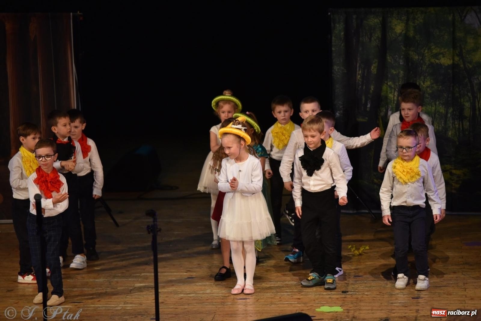 Zdjęcie w galerii na portalu naszraciborz.pl: 80 lat przedszkola w Brzeziu. Wzruszenia, wspomnienia i artystyczne talenty na scenie RCK [FOTO i WIDEO] wiadomości z regionu