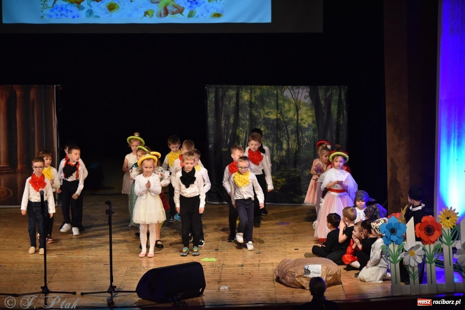 Zdjęcie w galerii na portalu naszraciborz.pl: 80 lat przedszkola w Brzeziu. Wzruszenia, wspomnienia i artystyczne talenty na scenie RCK [FOTO i WIDEO] wiadomości z regionu