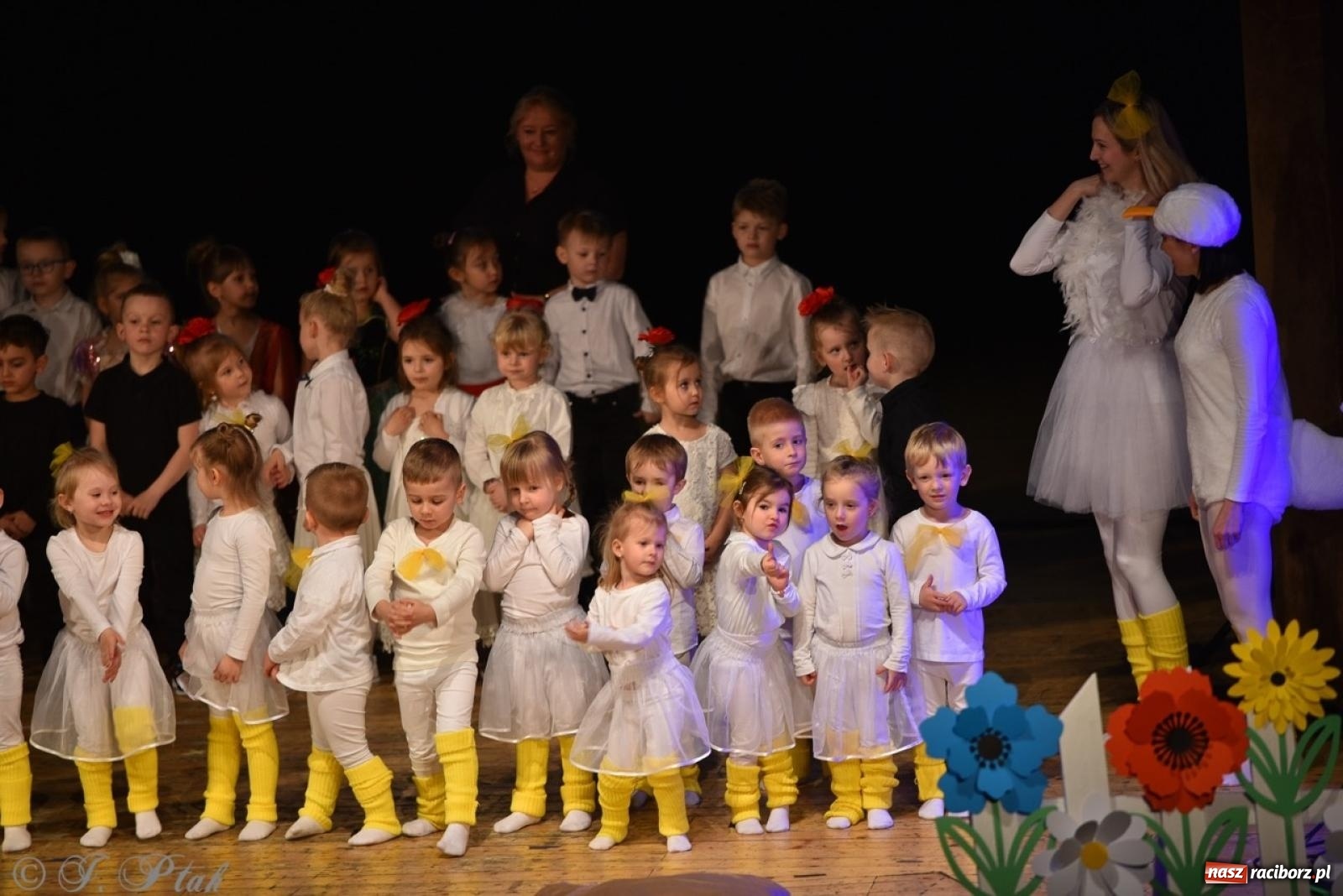 Zdjęcie w galerii na portalu naszraciborz.pl: 80 lat przedszkola w Brzeziu. Wzruszenia, wspomnienia i artystyczne talenty na scenie RCK [FOTO i WIDEO] wiadomości z regionu