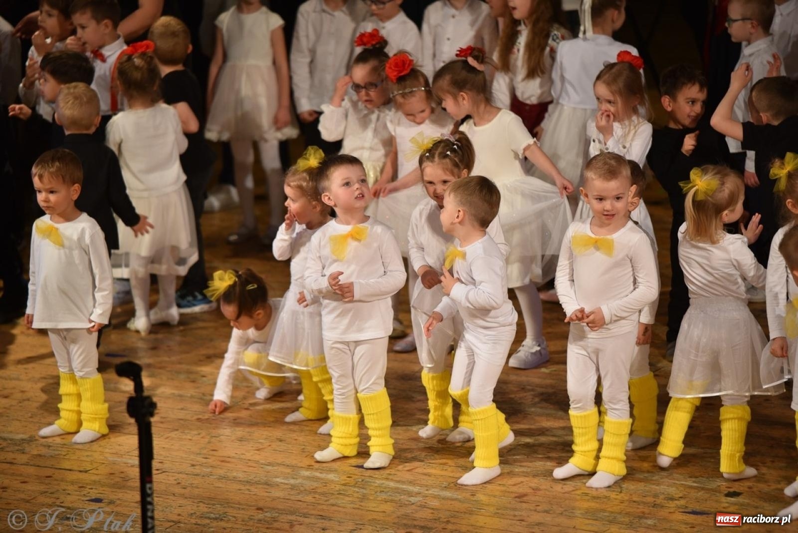 Zdjęcie w galerii na portalu naszraciborz.pl: 80 lat przedszkola w Brzeziu. Wzruszenia, wspomnienia i artystyczne talenty na scenie RCK [FOTO i WIDEO] wiadomości z regionu