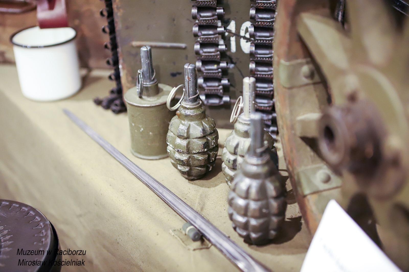 Zdjęcie w galerii na portalu naszraciborz.pl: Racibórz 1945. Konferencja i wystawa upamiętniły dramatyczne wydarzenia sprzed 80 lat [FOTO i WIDEO] wiadomości z regionu