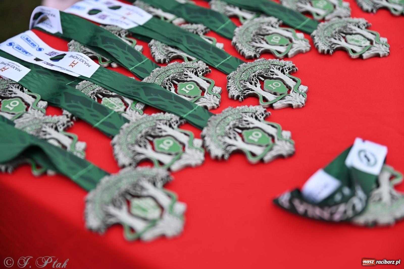 Zdjęcie w galerii na portalu naszraciborz.pl: Leśny Półmaraton Rafamet 2025 [FOTO, WIDEO, WYNIKI] wiadomości z regionu