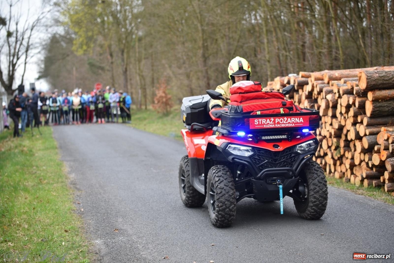 Zdjęcie w galerii na portalu naszraciborz.pl: Leśny Półmaraton Rafamet 2025 [FOTO, WIDEO, WYNIKI] wiadomości z regionu