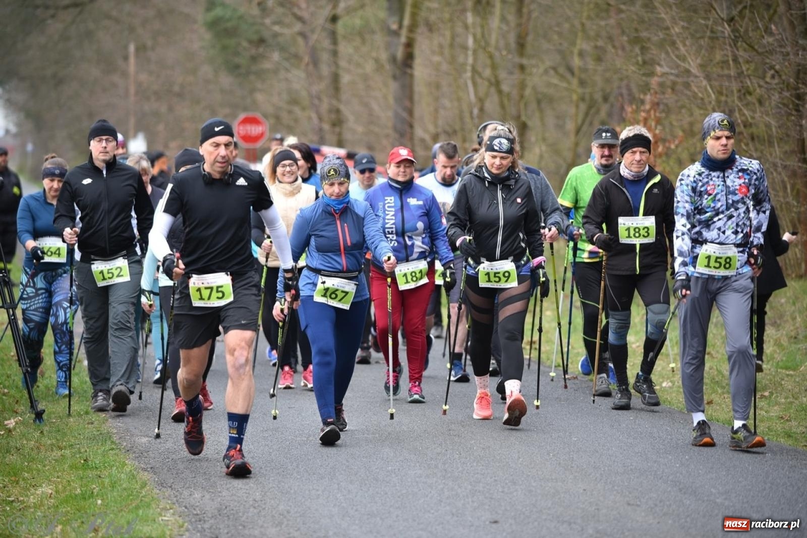 Zdjęcie w galerii na portalu naszraciborz.pl: Leśny Półmaraton Rafamet 2025 [FOTO, WIDEO, WYNIKI] wiadomości z regionu