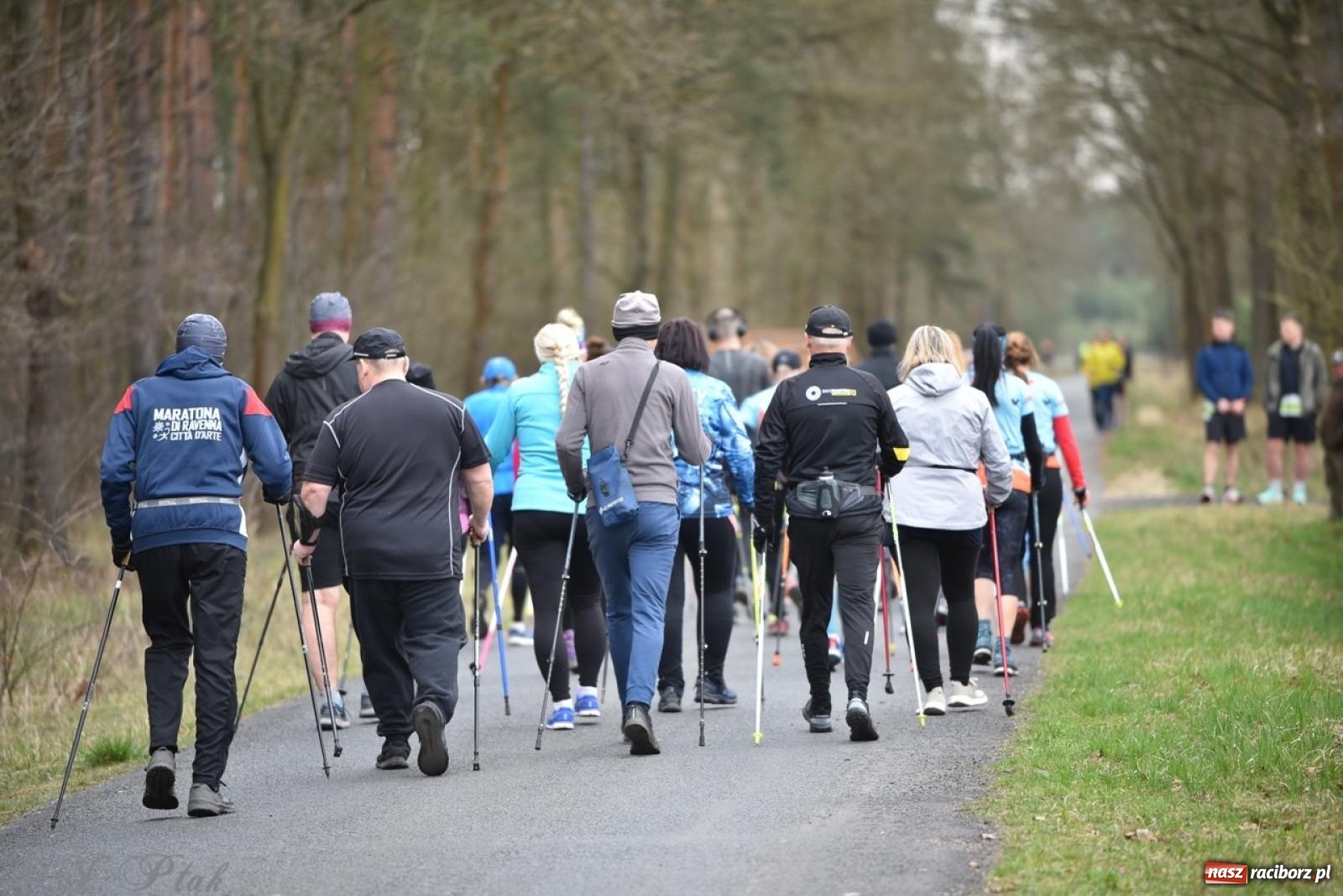 Zdjęcie w galerii na portalu naszraciborz.pl: Leśny Półmaraton Rafamet 2025 [FOTO, WIDEO, WYNIKI] wiadomości z regionu