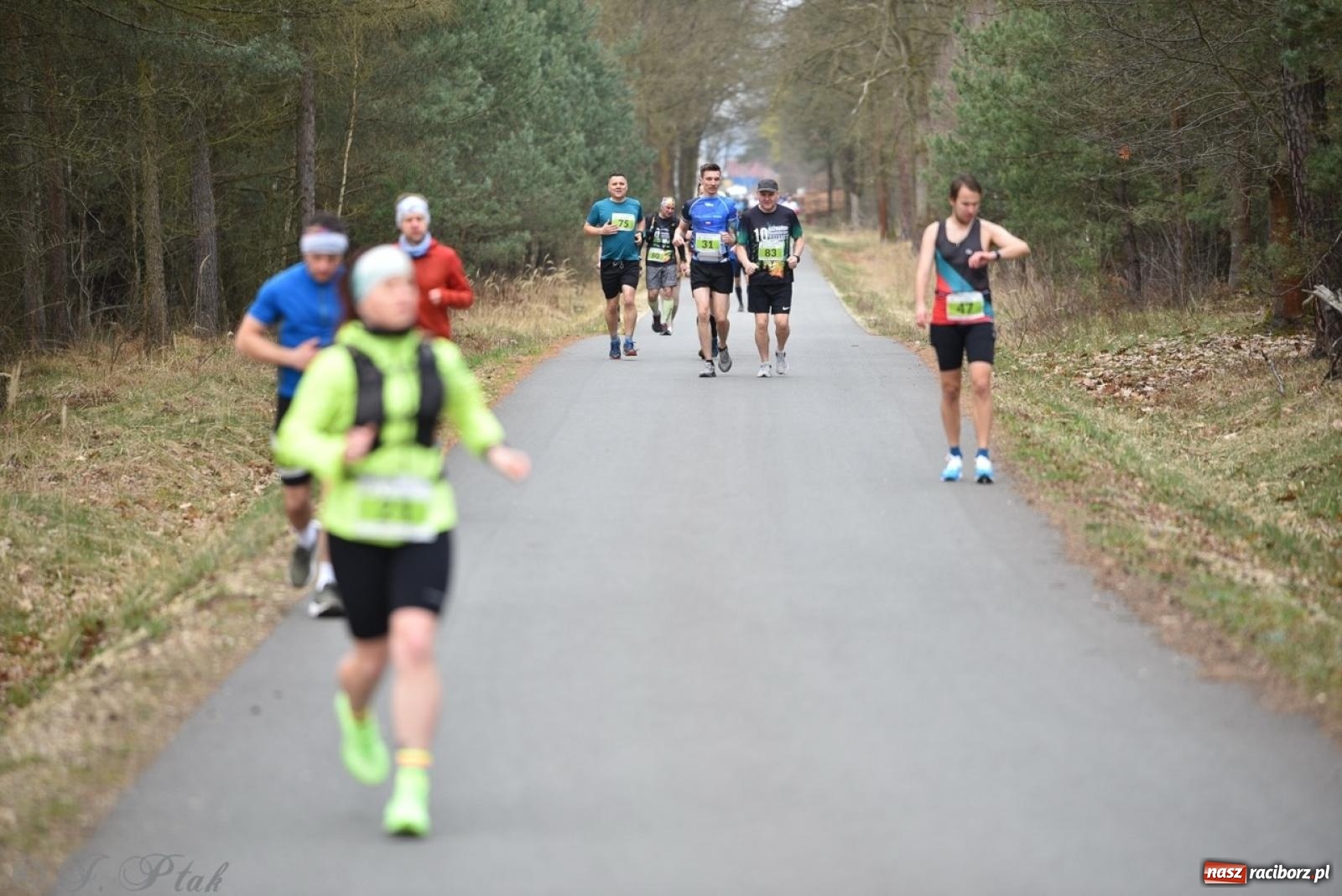 Zdjęcie w galerii na portalu naszraciborz.pl: Leśny Półmaraton Rafamet 2025 [FOTO, WIDEO, WYNIKI] wiadomości z regionu
