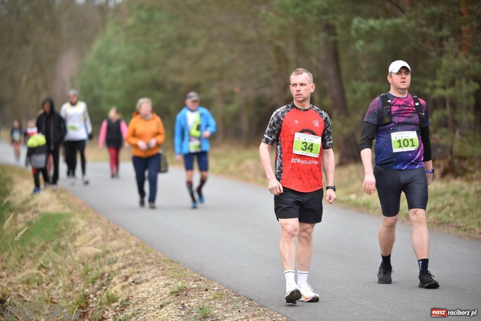 Zdjęcie w galerii na portalu naszraciborz.pl: Leśny Półmaraton Rafamet 2025 [FOTO, WIDEO, WYNIKI] wiadomości z regionu