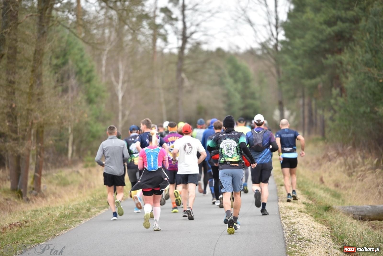 Zdjęcie w galerii na portalu naszraciborz.pl: Leśny Półmaraton Rafamet 2025 [FOTO, WIDEO, WYNIKI] wiadomości z regionu