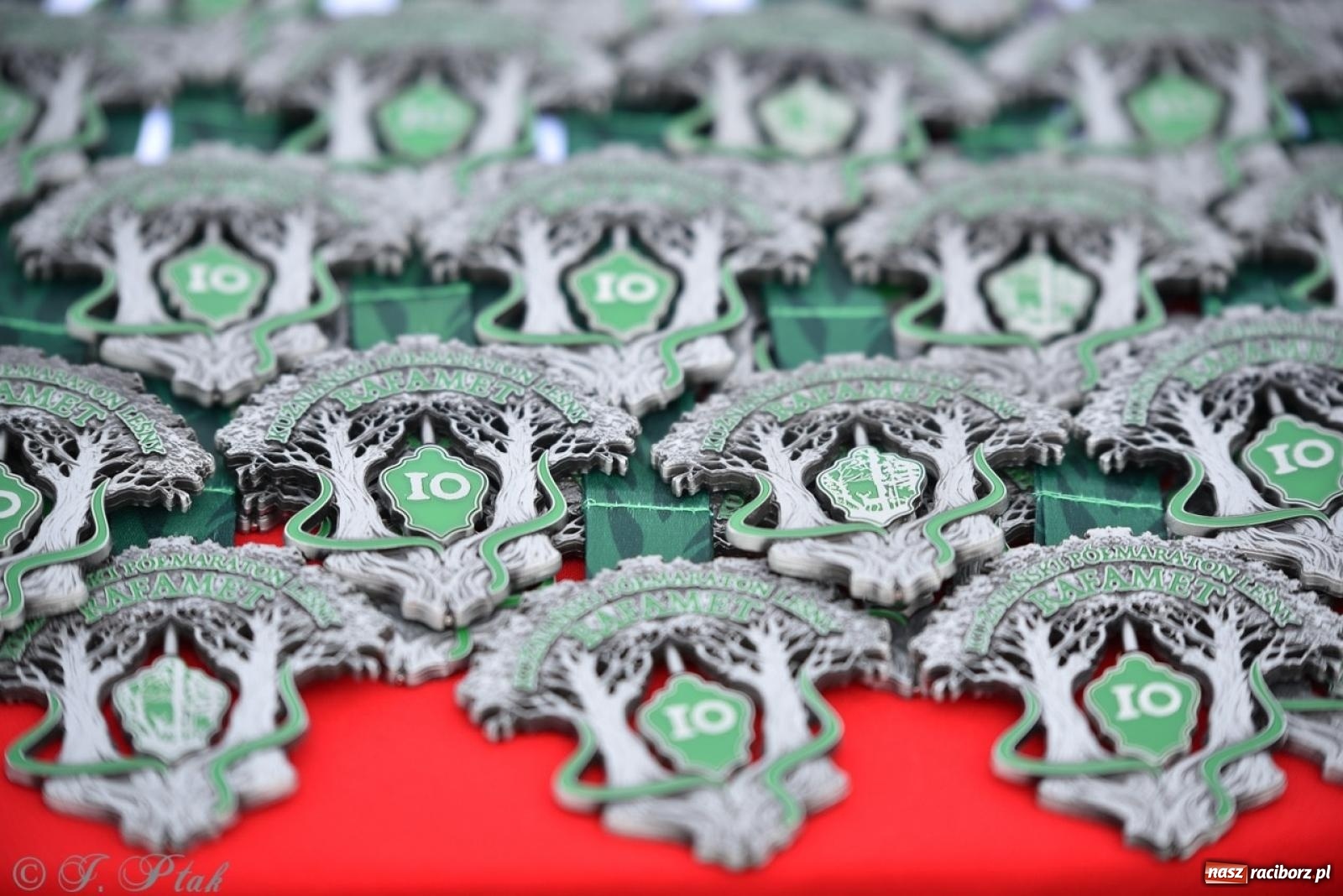 Zdjęcie w galerii na portalu naszraciborz.pl: Leśny Półmaraton Rafamet 2025 [FOTO, WIDEO, WYNIKI] wiadomości z regionu