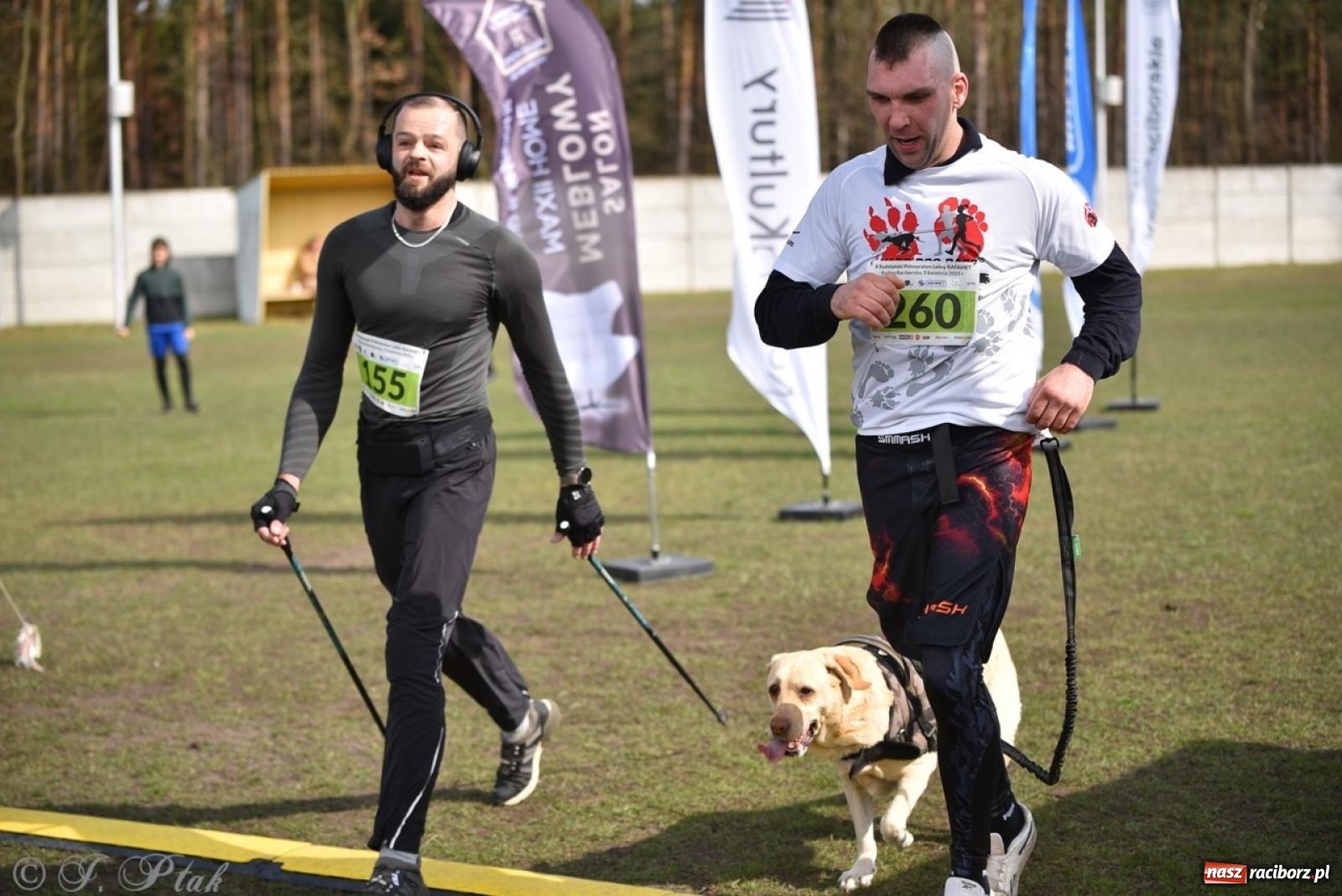 Zdjęcie w galerii na portalu naszraciborz.pl: Leśny Półmaraton Rafamet 2025 [FOTO, WIDEO, WYNIKI] wiadomości z regionu