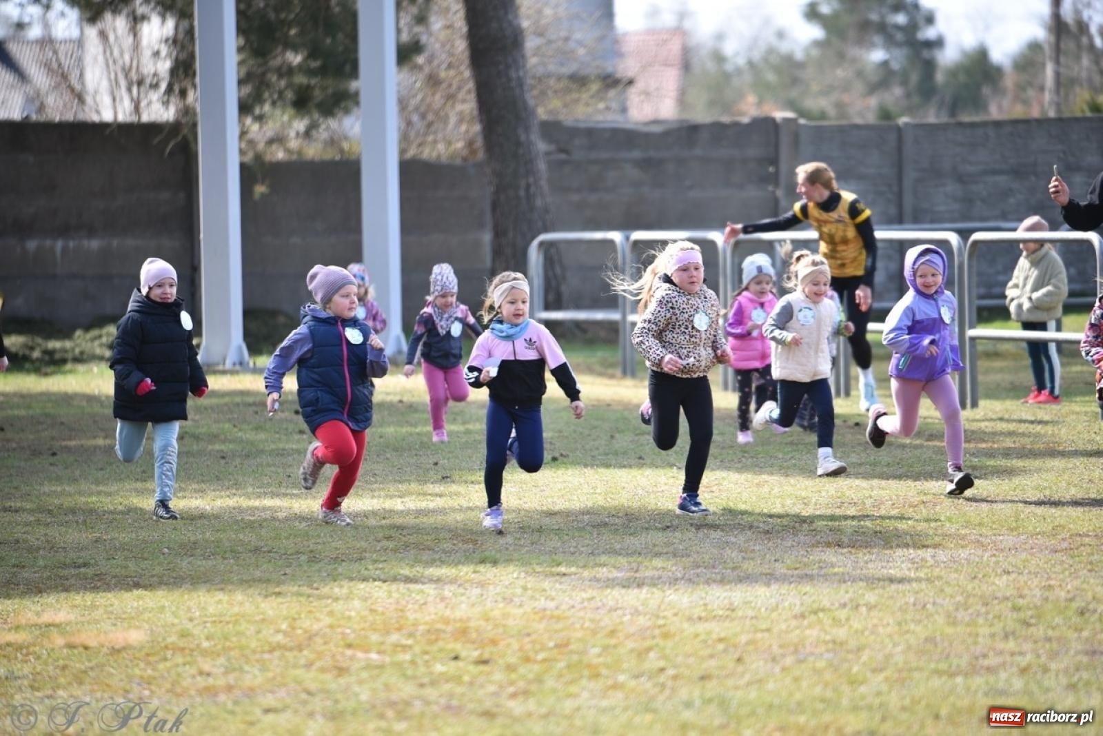Zdjęcie w galerii na portalu naszraciborz.pl: Leśny Półmaraton Rafamet 2025 [FOTO, WIDEO, WYNIKI] wiadomości z regionu