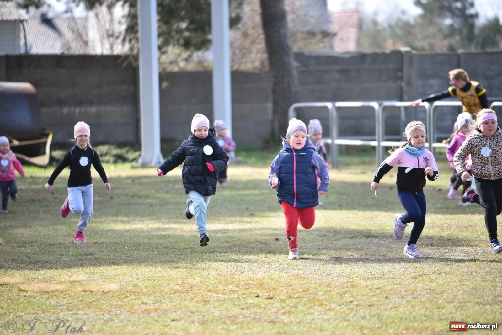 Zdjęcie w galerii na portalu naszraciborz.pl: Leśny Półmaraton Rafamet 2025 [FOTO, WIDEO, WYNIKI] wiadomości z regionu