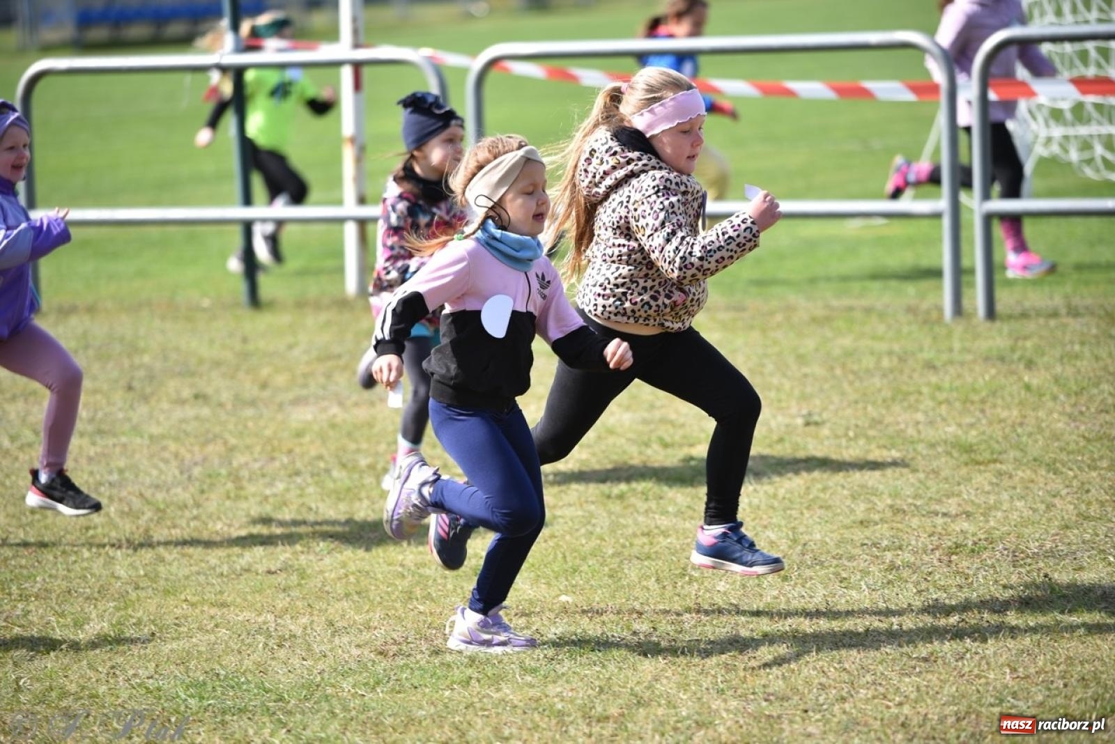 Zdjęcie w galerii na portalu naszraciborz.pl: Leśny Półmaraton Rafamet 2025 [FOTO, WIDEO, WYNIKI] wiadomości z regionu