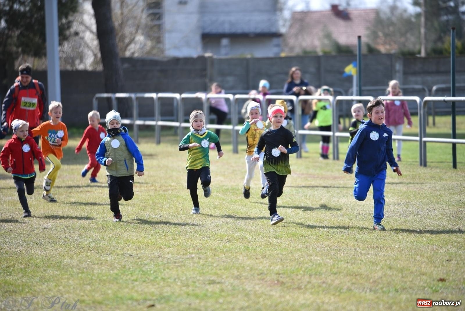 Zdjęcie w galerii na portalu naszraciborz.pl: Leśny Półmaraton Rafamet 2025 [FOTO, WIDEO, WYNIKI] wiadomości z regionu