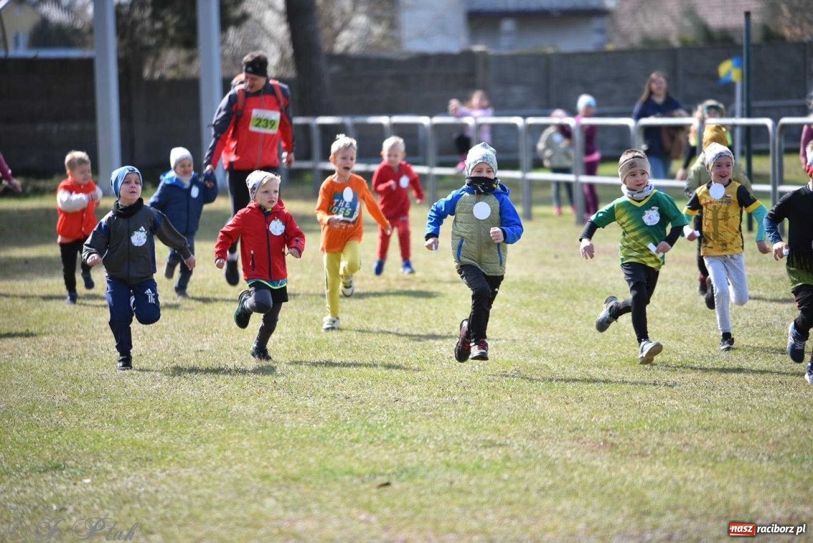 Zdjęcie w galerii na portalu naszraciborz.pl: Leśny Półmaraton Rafamet 2025 [FOTO, WIDEO, WYNIKI] wiadomości z regionu