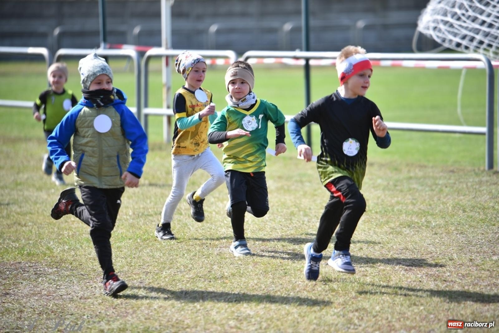 Zdjęcie w galerii na portalu naszraciborz.pl: Leśny Półmaraton Rafamet 2025 [FOTO, WIDEO, WYNIKI] wiadomości z regionu