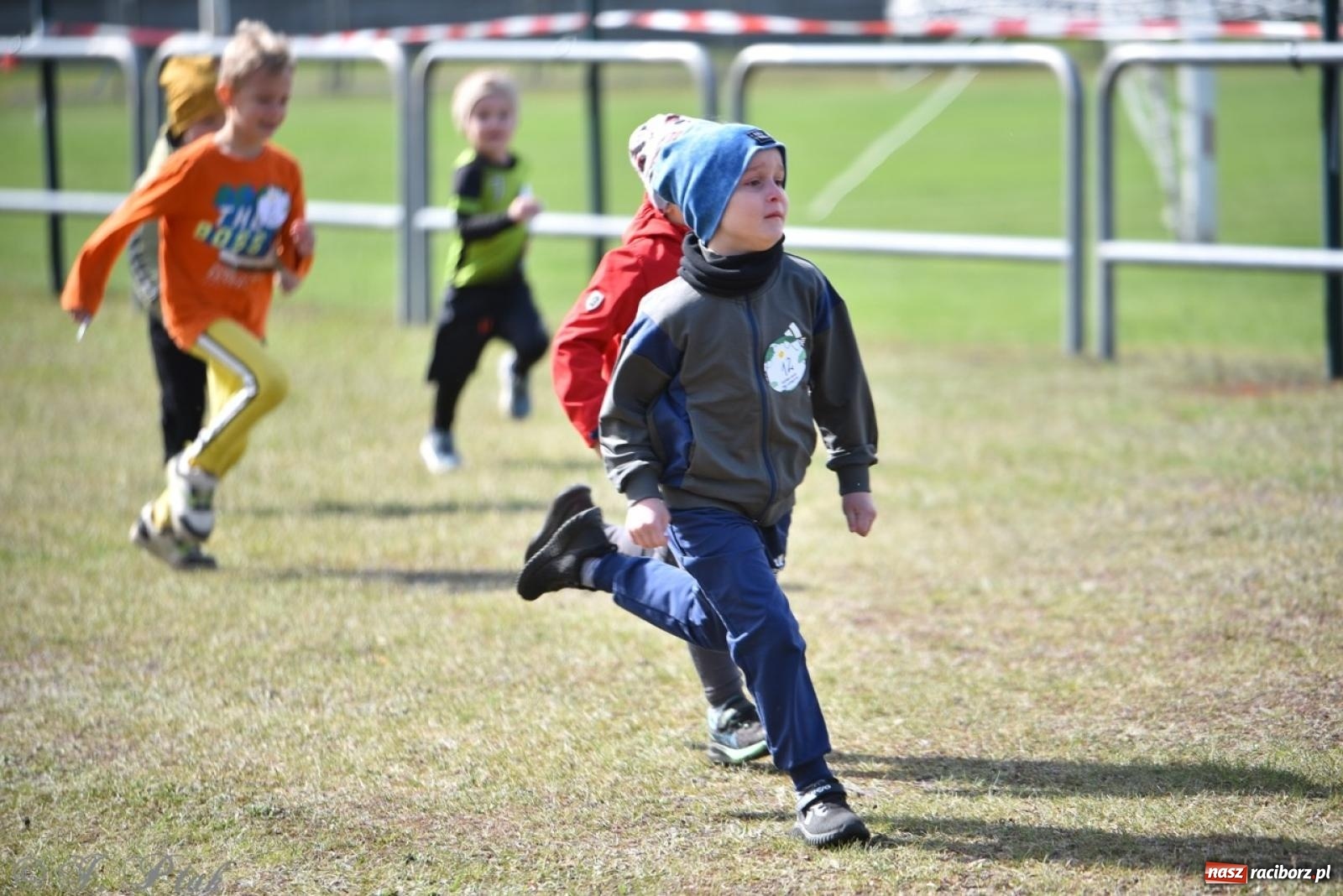Zdjęcie w galerii na portalu naszraciborz.pl: Leśny Półmaraton Rafamet 2025 [FOTO, WIDEO, WYNIKI] wiadomości z regionu
