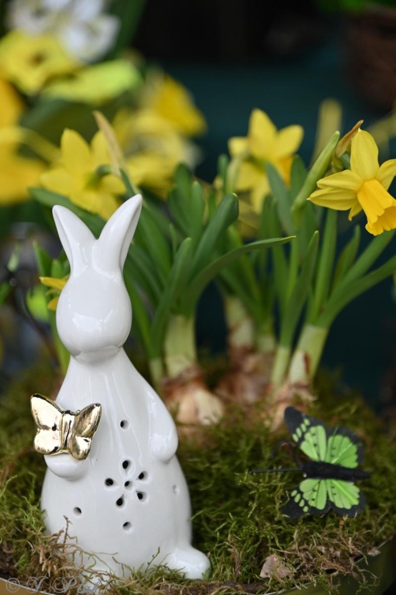 Zdjęcie w galerii na portalu naszraciborz.pl: Jarmark Wielkanocny na Rynku za nami [FOTO] wiadomości z regionu