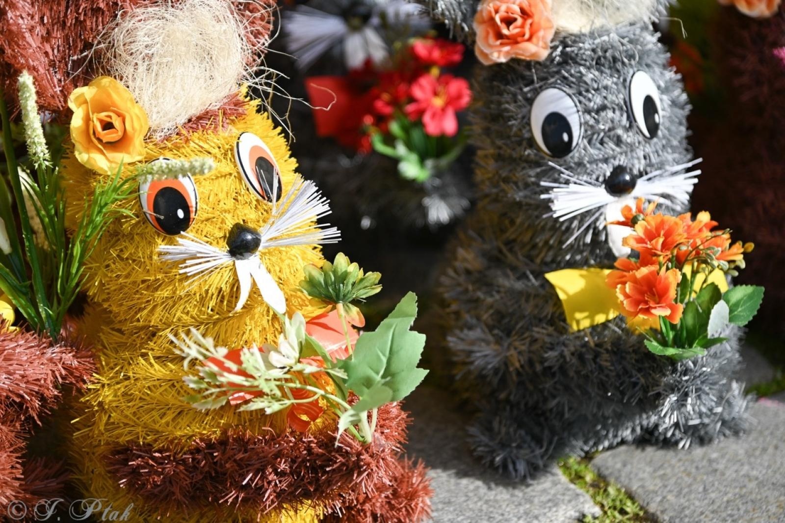 Zdjęcie w galerii na portalu naszraciborz.pl: Jarmark Wielkanocny na Rynku za nami [FOTO] wiadomości z regionu