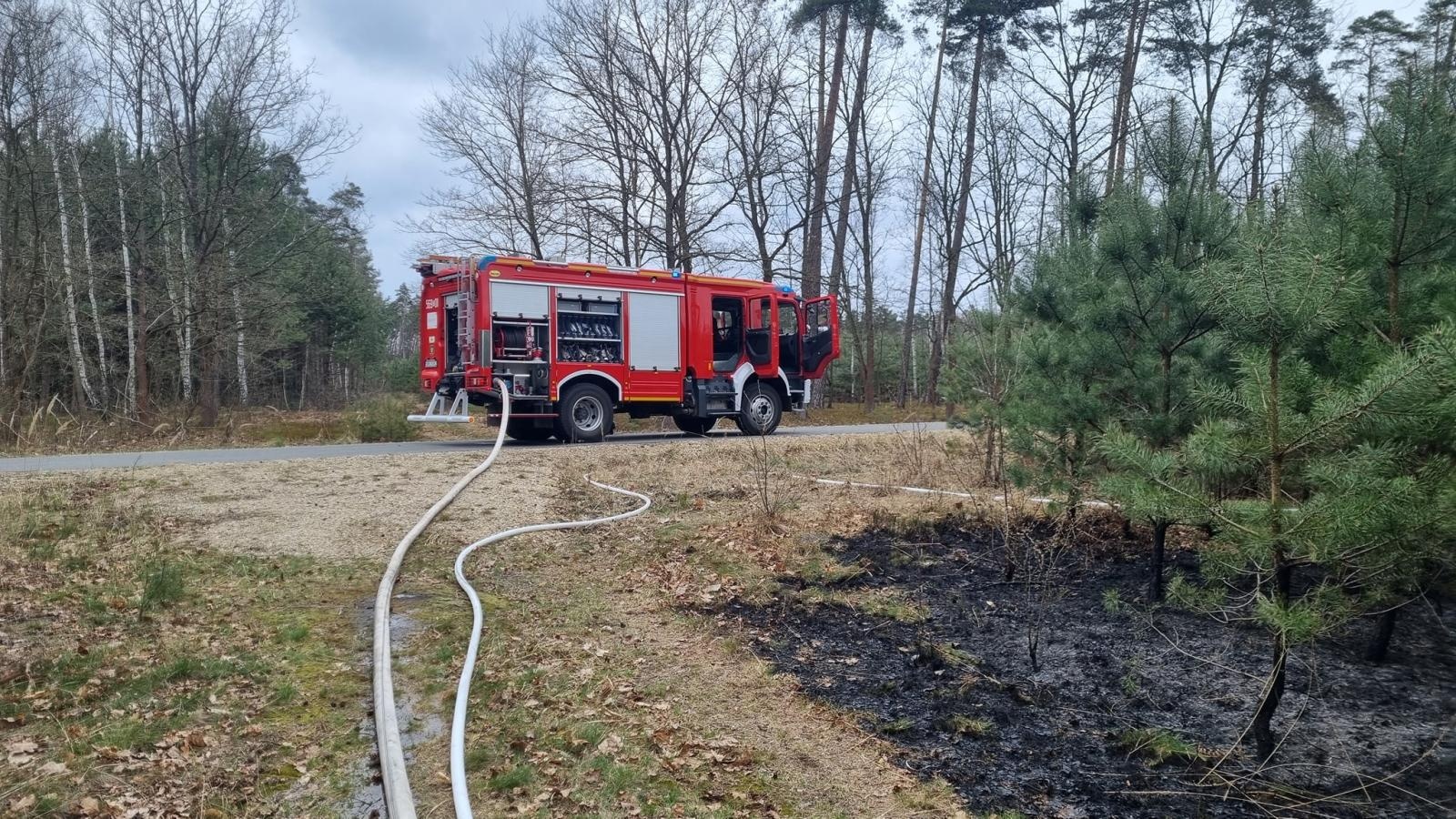 Zdjęcie w galerii na portalu naszraciborz.pl: Dwa pożary młodnika jednego dnia. W Kuźni Raciborskiej grasuje podpalacz? [FOTO] wiadomości z regionu