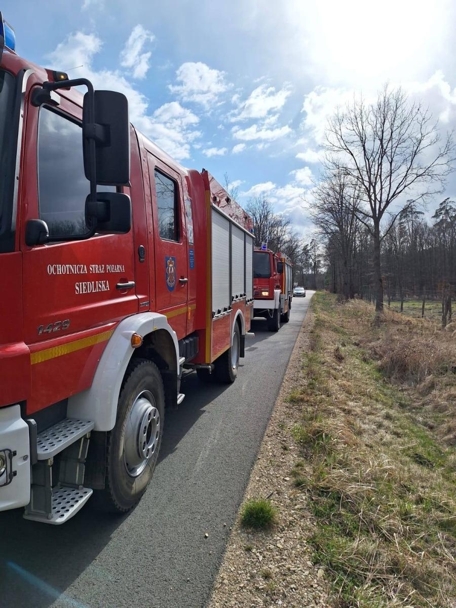 Zdjęcie w galerii na portalu naszraciborz.pl: Dwa pożary młodnika jednego dnia. W Kuźni Raciborskiej grasuje podpalacz? [FOTO] wiadomości z regionu