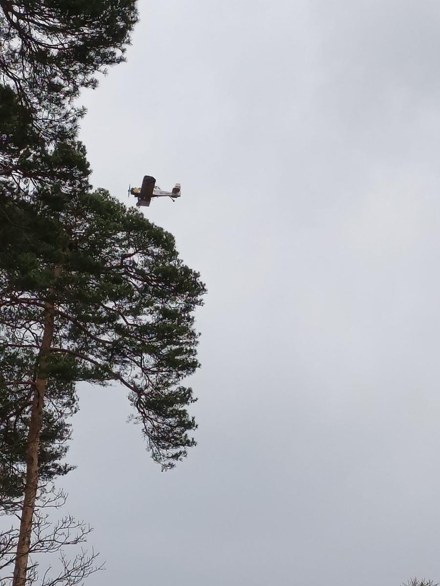 Zdjęcie w galerii na portalu naszraciborz.pl: Dwa pożary młodnika jednego dnia. W Kuźni Raciborskiej grasuje podpalacz? [FOTO] wiadomości z regionu