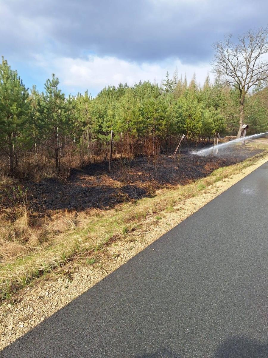 Zdjęcie w galerii na portalu naszraciborz.pl: Dwa pożary młodnika jednego dnia. W Kuźni Raciborskiej grasuje podpalacz? [FOTO] wiadomości z regionu