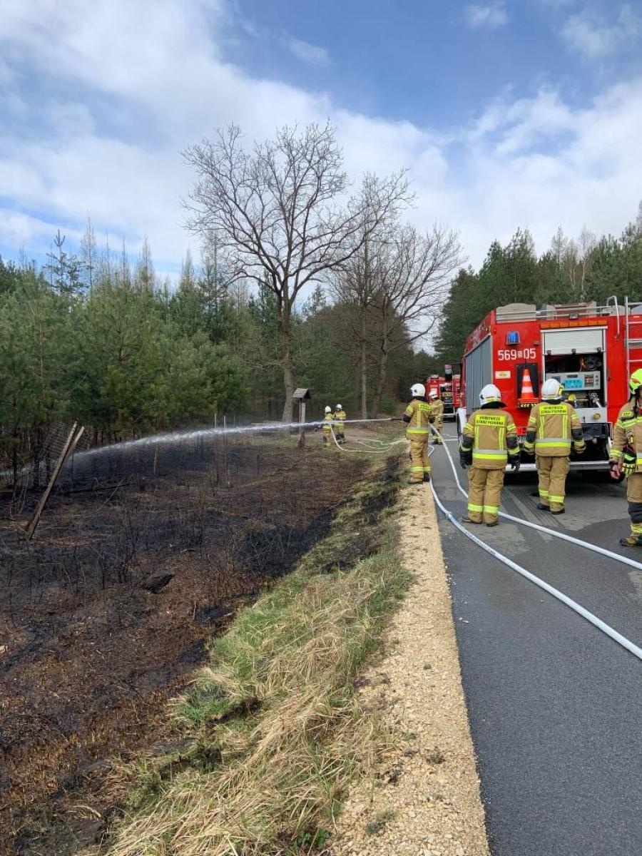 Zdjęcie w galerii na portalu naszraciborz.pl: Dwa pożary młodnika jednego dnia. W Kuźni Raciborskiej grasuje podpalacz? [FOTO] wiadomości z regionu