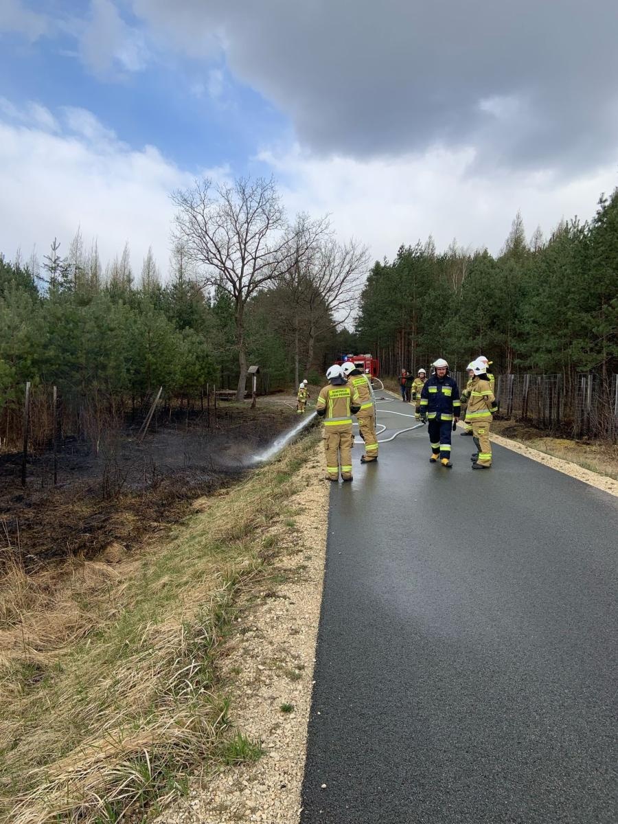 Zdjęcie w galerii na portalu naszraciborz.pl: Dwa pożary młodnika jednego dnia. W Kuźni Raciborskiej grasuje podpalacz? [FOTO] wiadomości z regionu