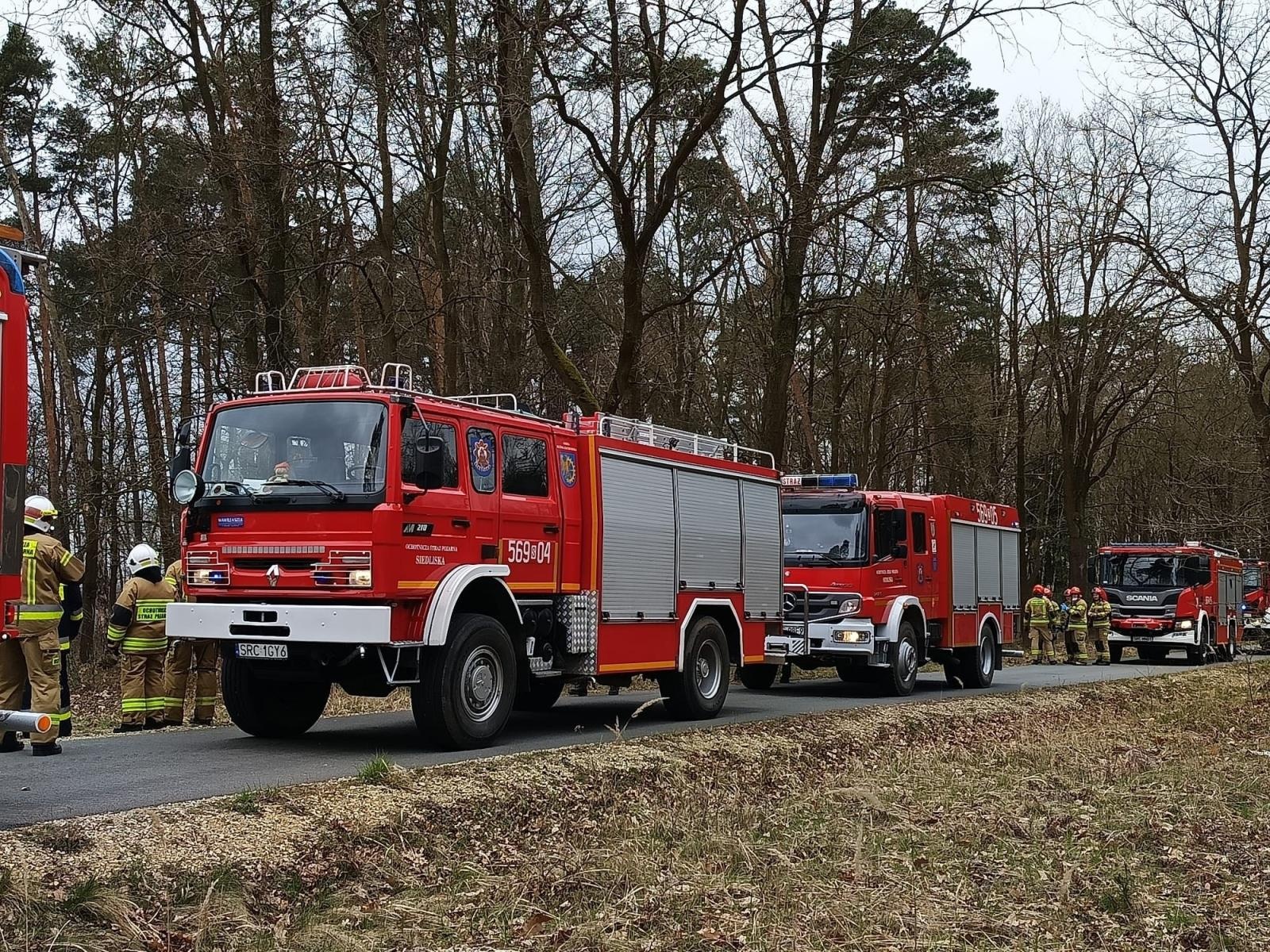 Zdjęcie w galerii na portalu naszraciborz.pl: Dwa pożary młodnika jednego dnia. W Kuźni Raciborskiej grasuje podpalacz? [FOTO] wiadomości z regionu